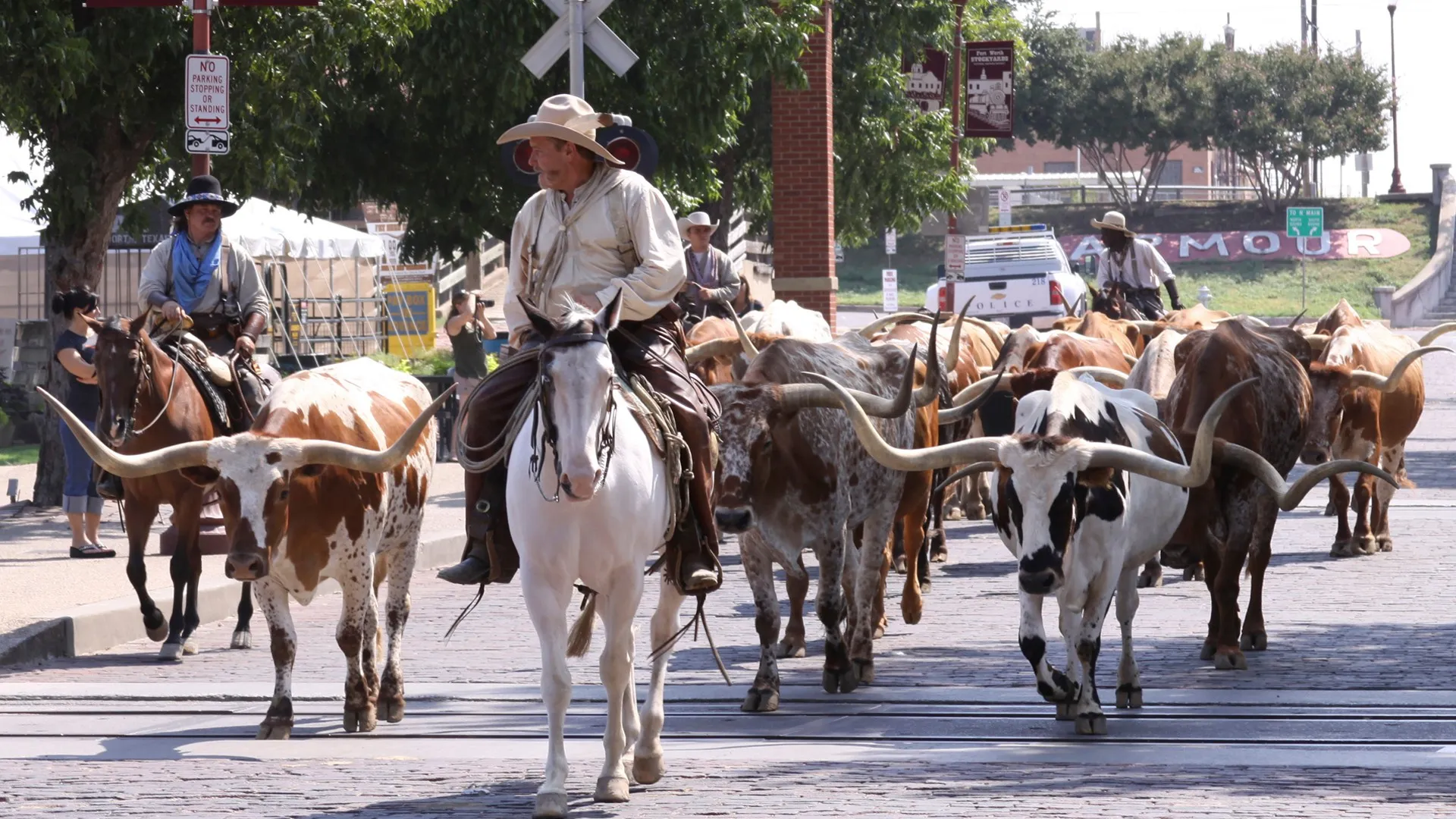 Las aventuras de Bailey. Una noche en Cowtown.