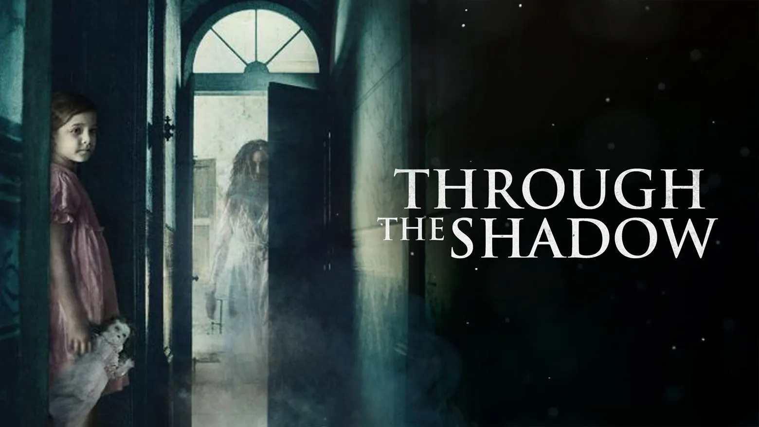Through the Shadow