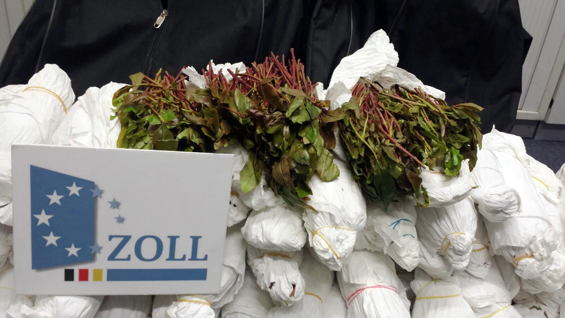 Der Zoll - Auf Schmugglerjagd (1)