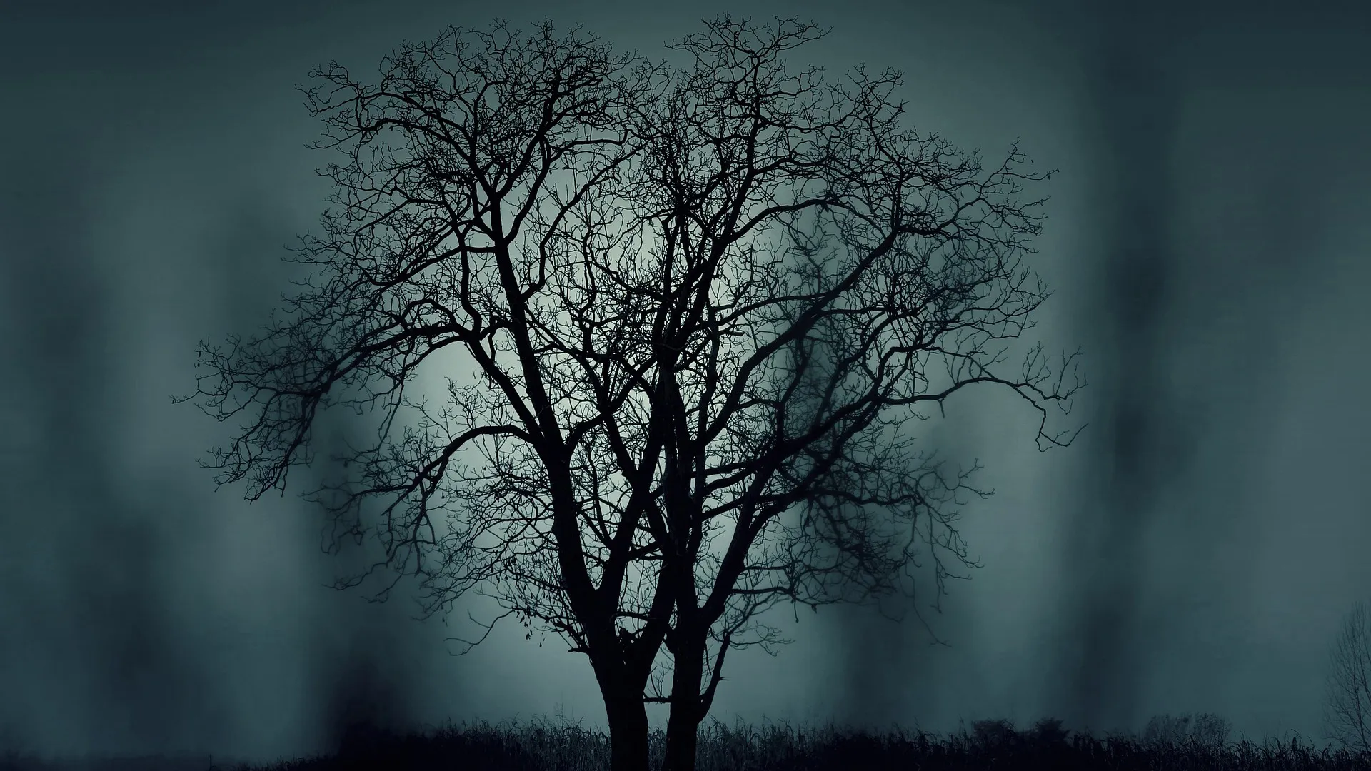 Die Geisterflüsterer - Zu Gast in der paranormalen Welt