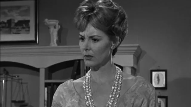The Patty Duke Show