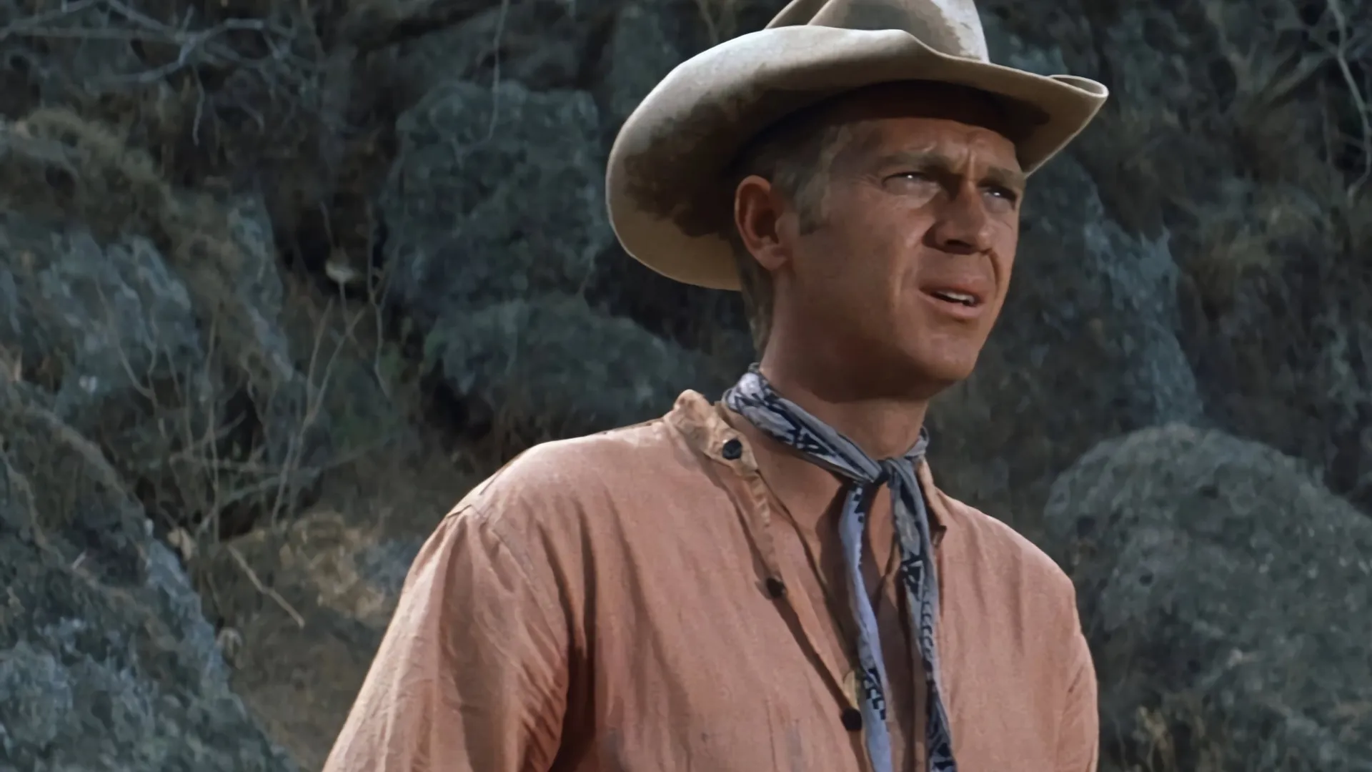 The Magnificent Seven (1960)