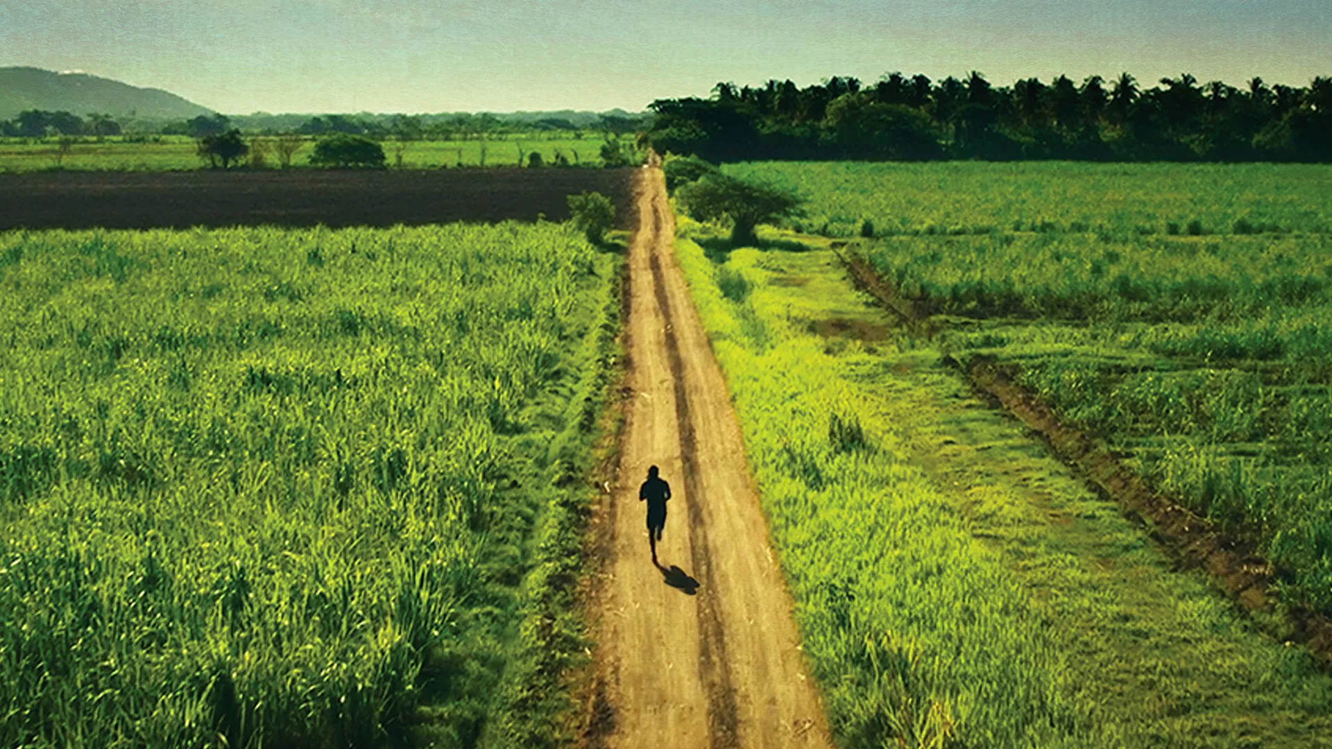 Sprinter