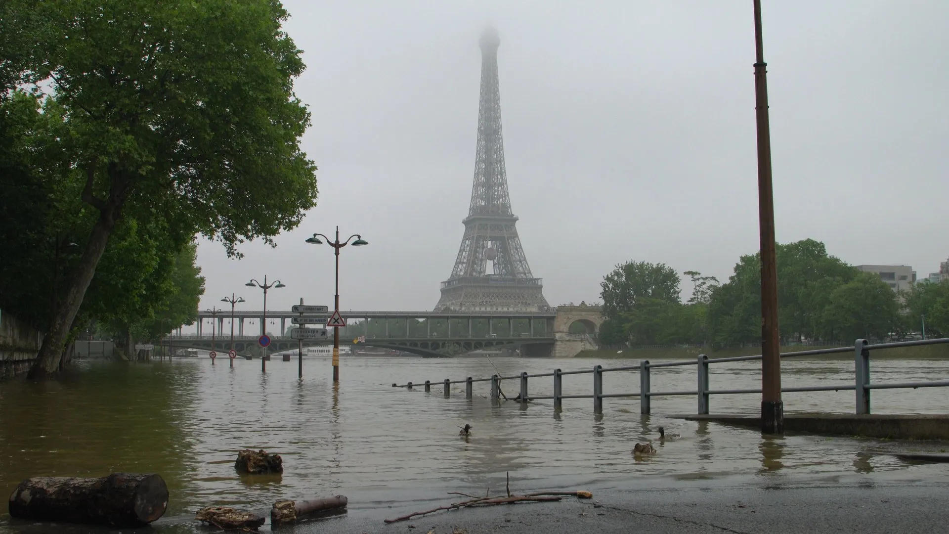 The Disaster Diaries 2016