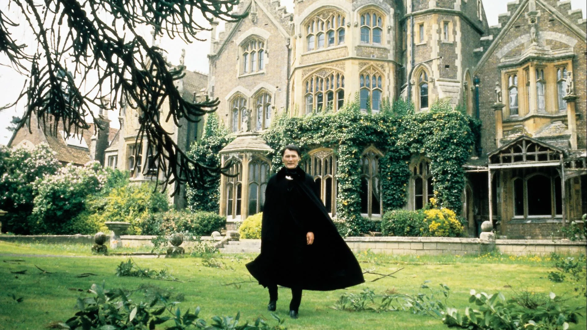 Dan Curtis' Dracula
