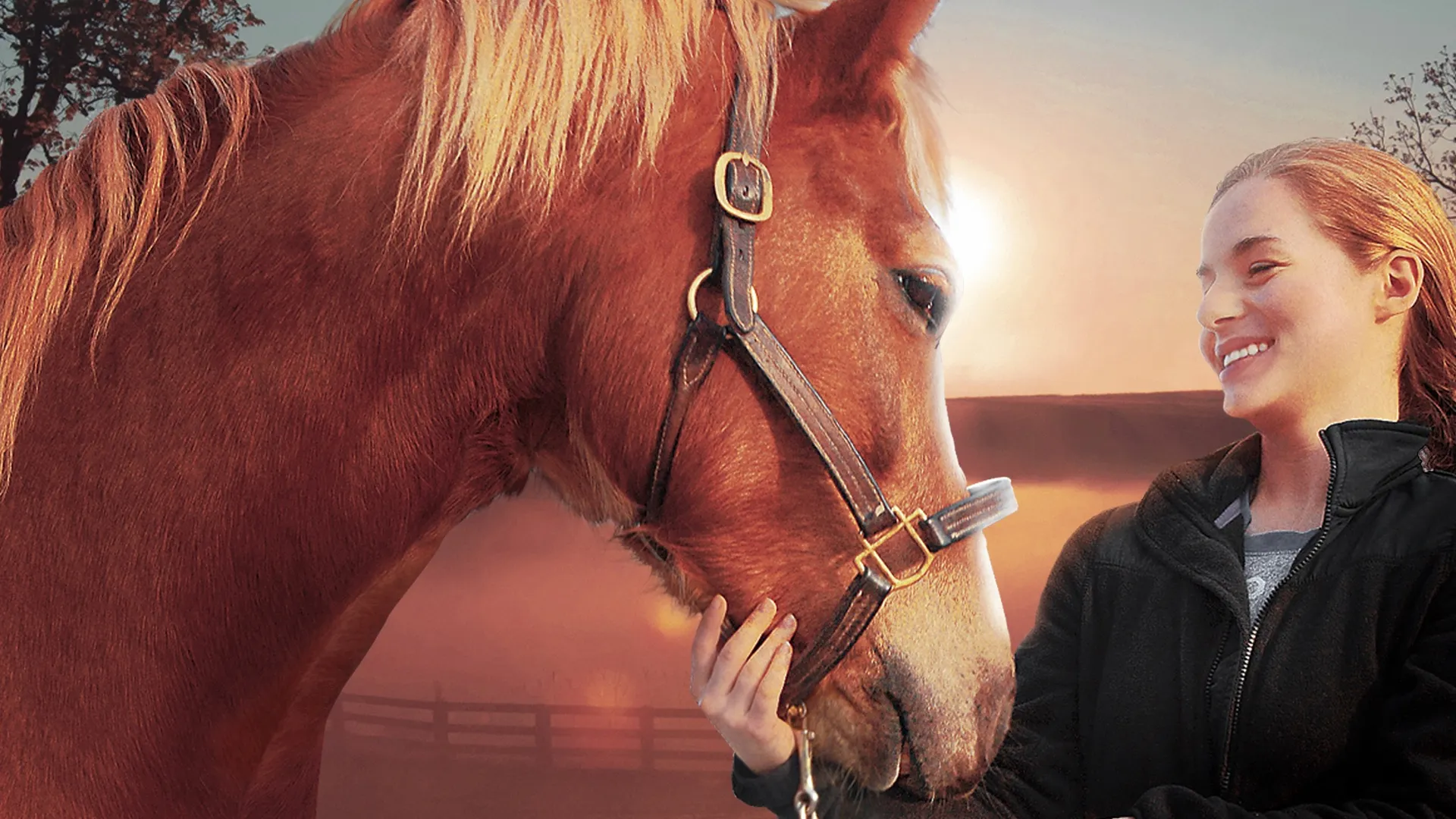Ein Pferd für Lizzy – Mein Freund fürs Leben