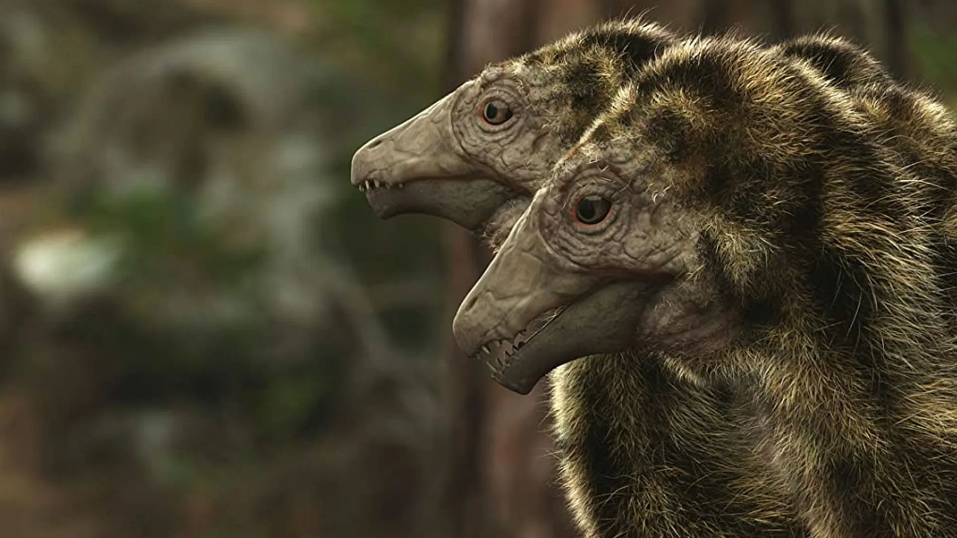 A New Prehistory