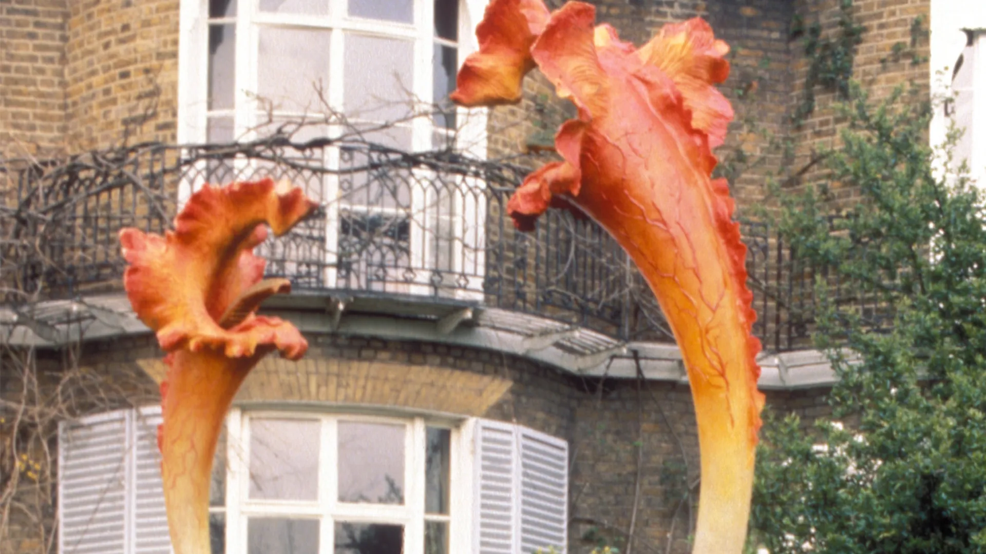Day of the Triffids
