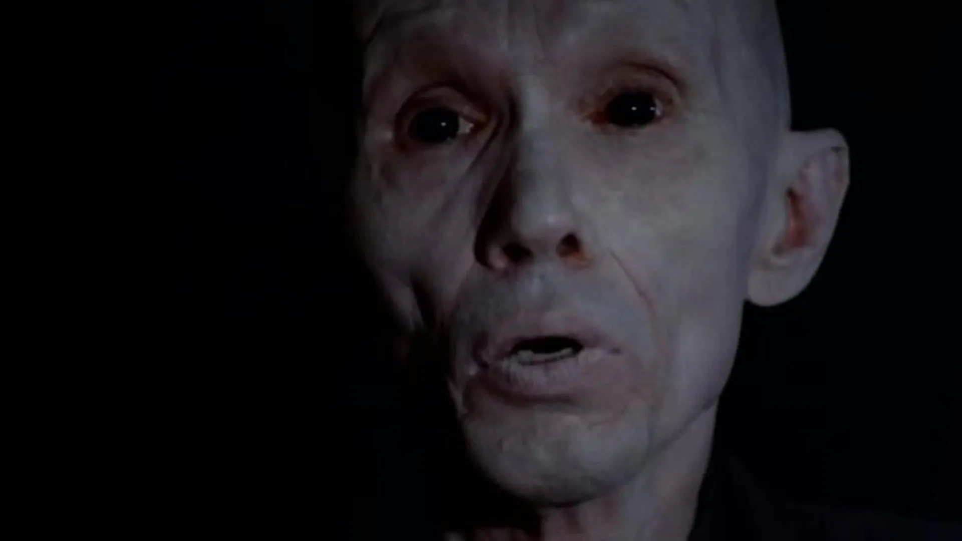 Happy Hell Night