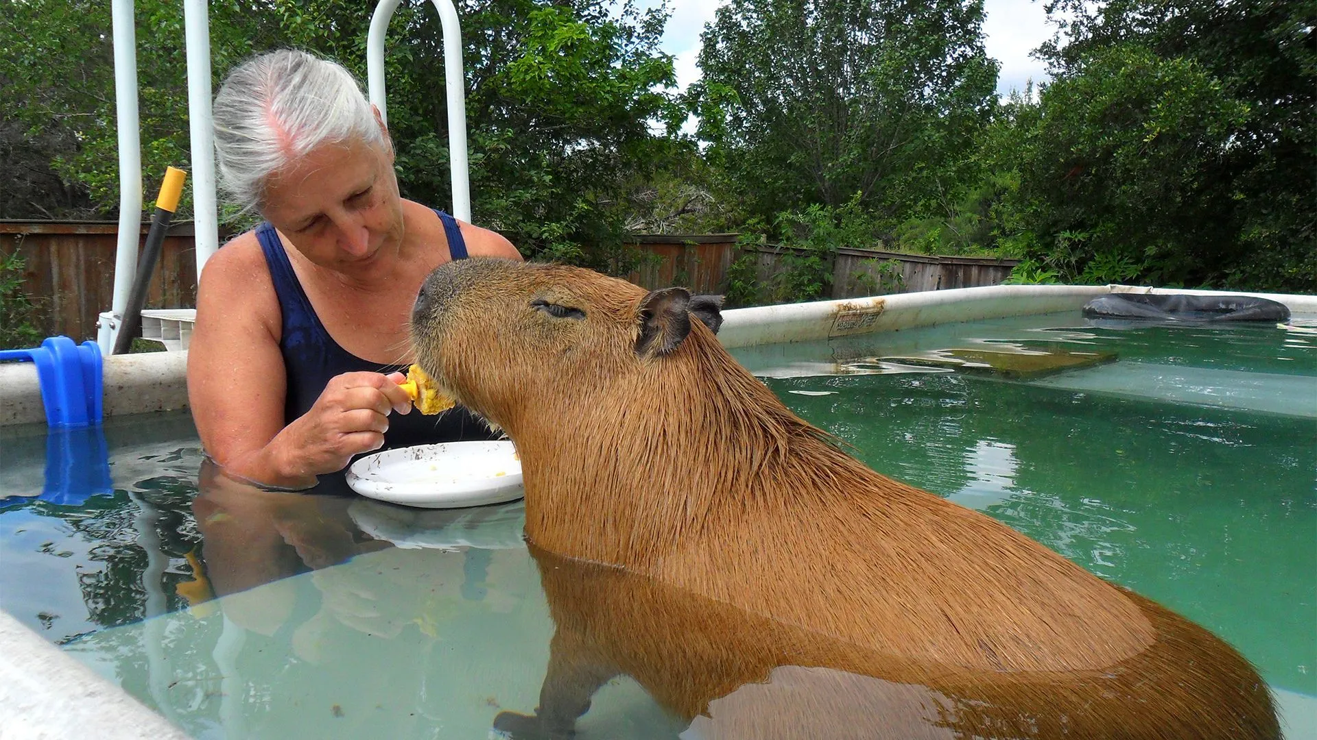World's Biggest Pets