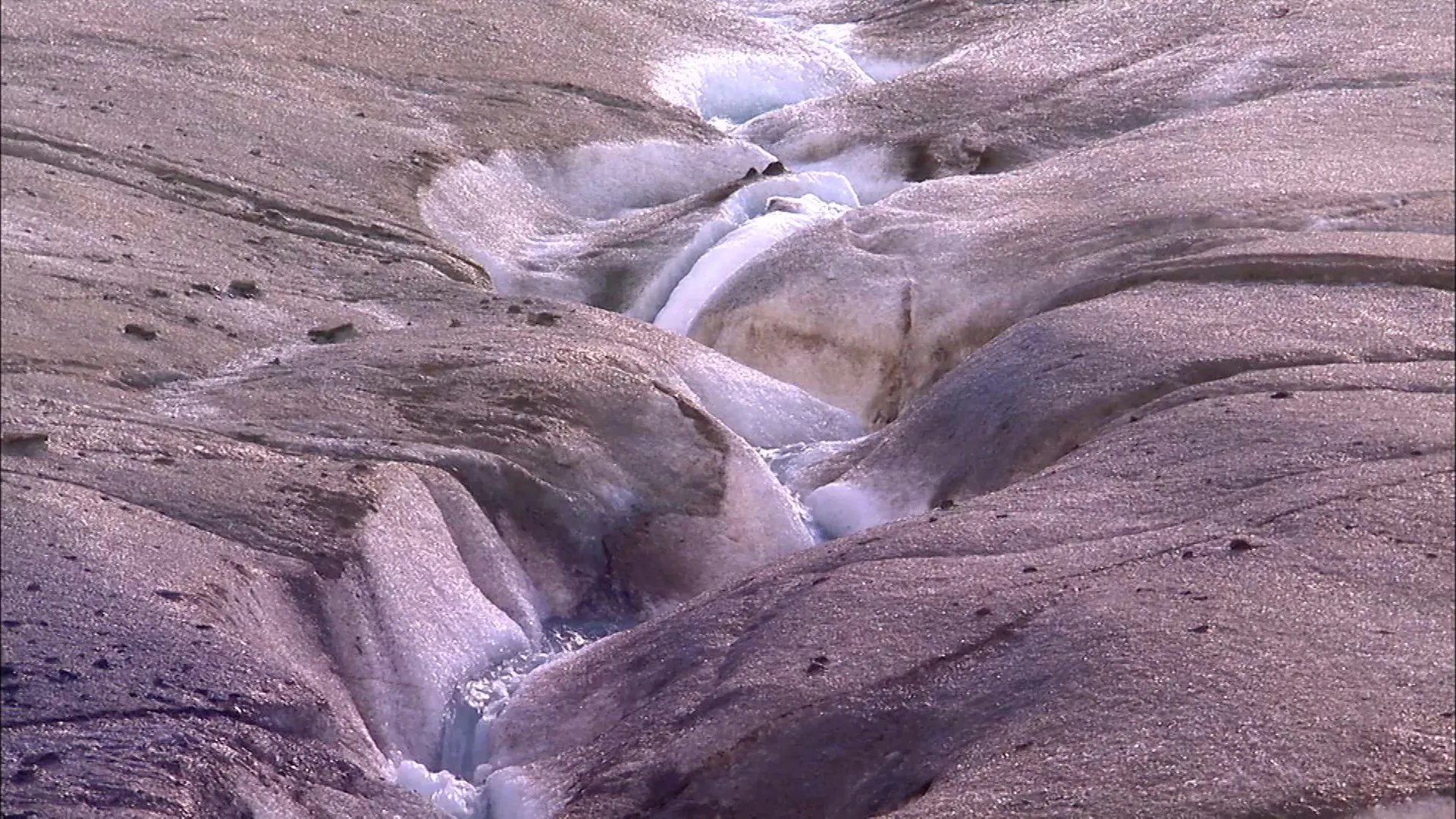 Naked Science