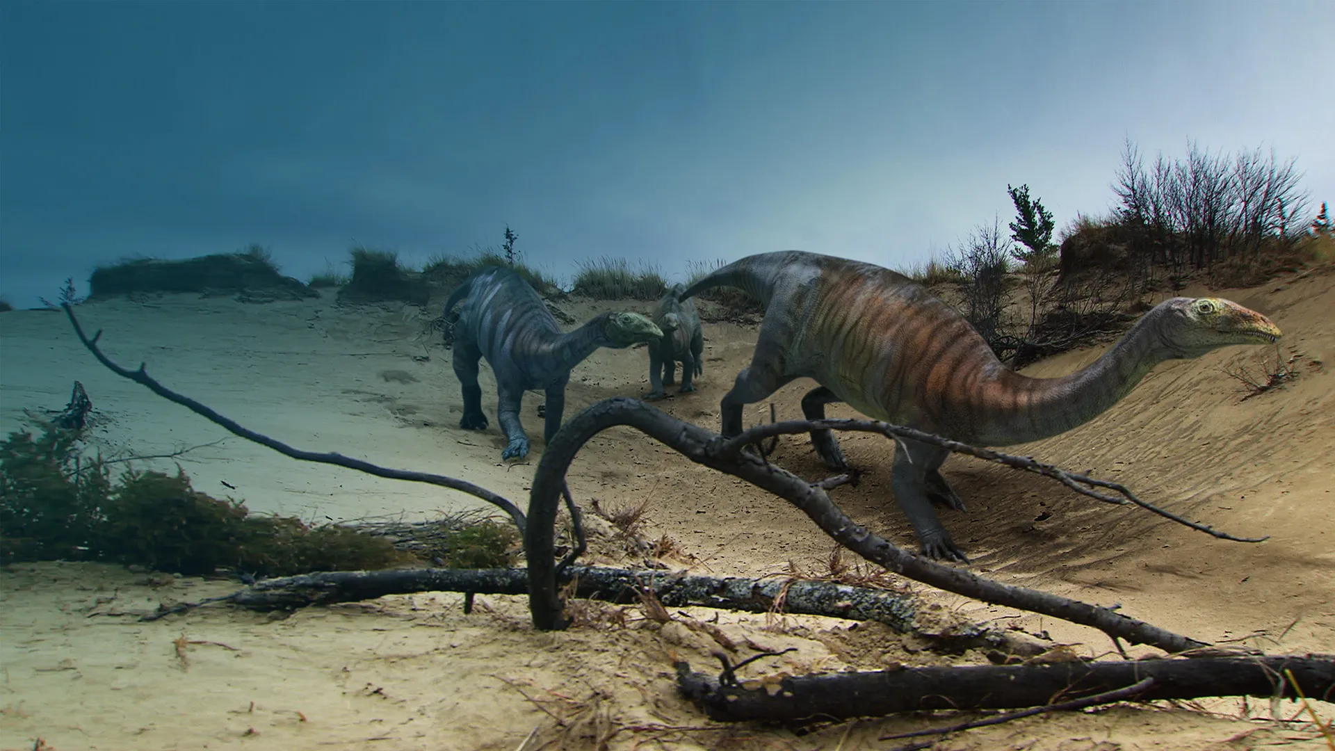 Sur la piste des dinosaures