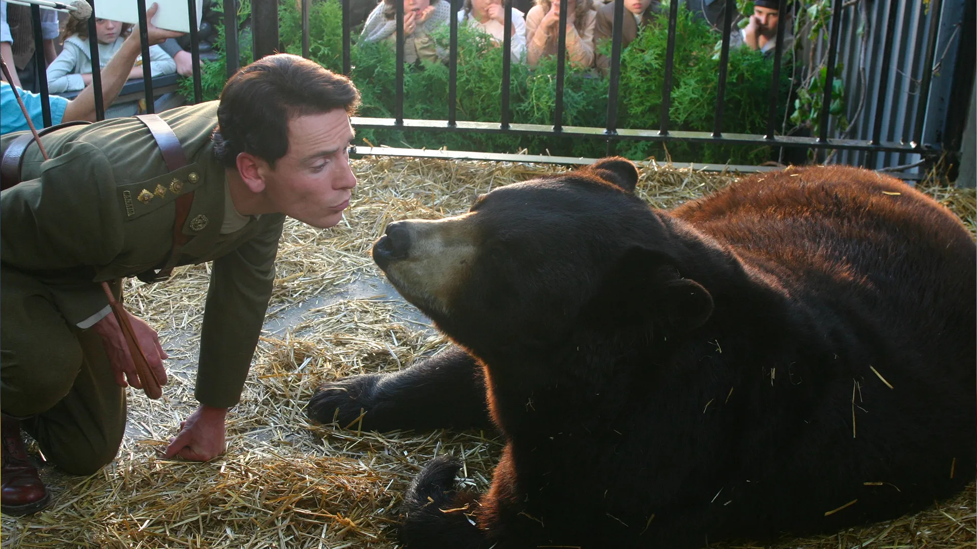 Un Orso Di Nome Winnie
