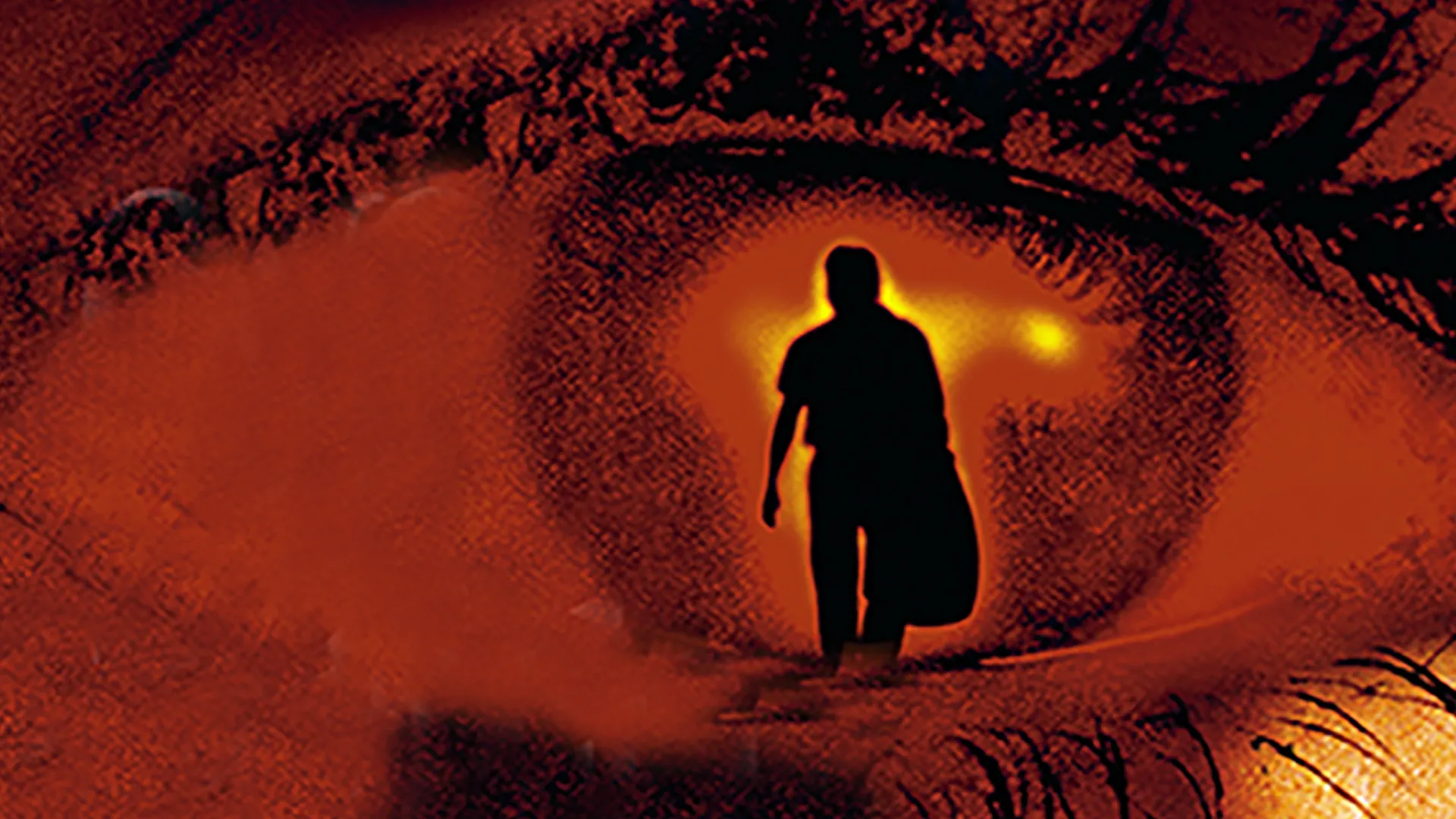 El ojo del observador