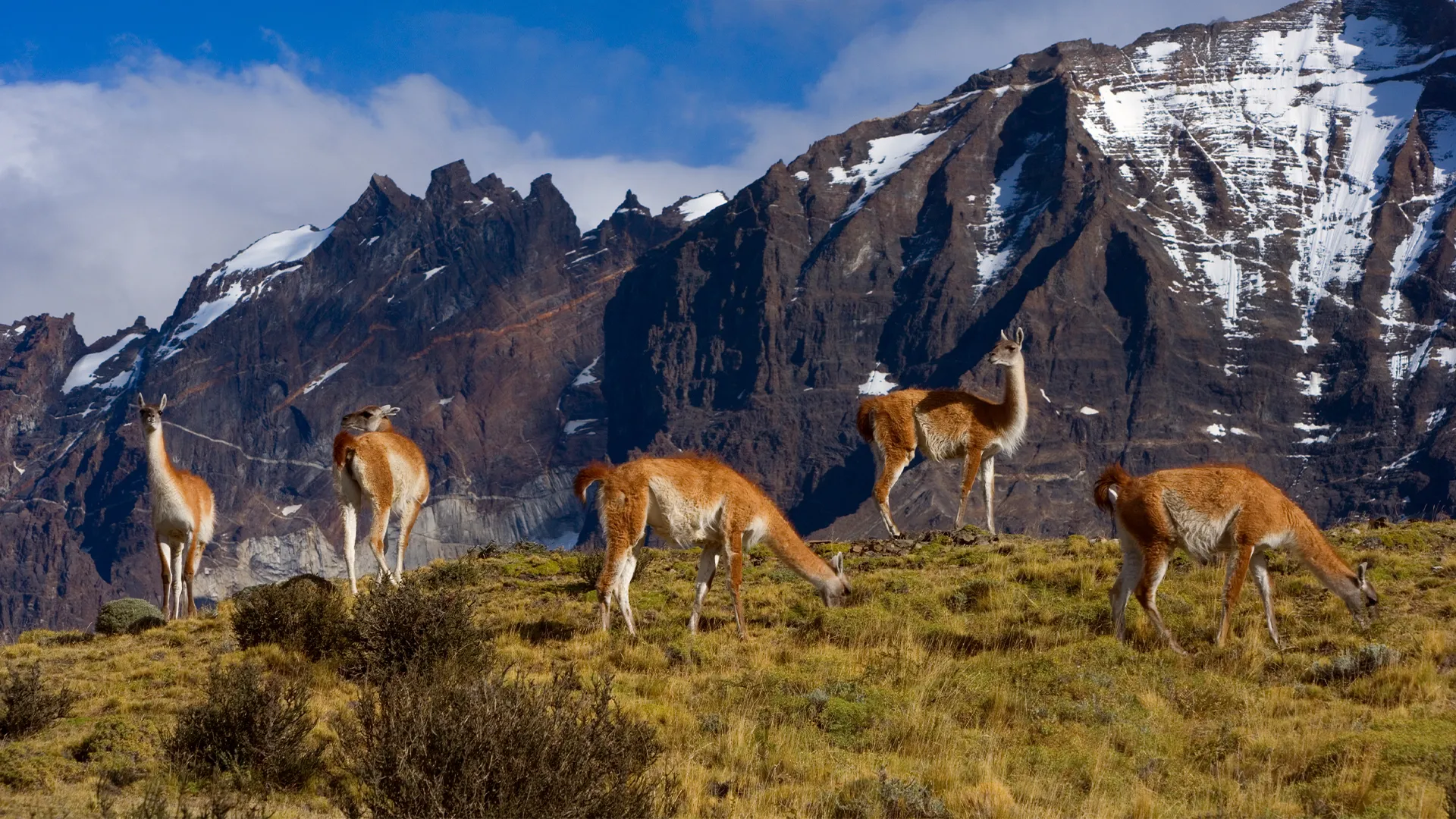 Mejores lugares del mundo