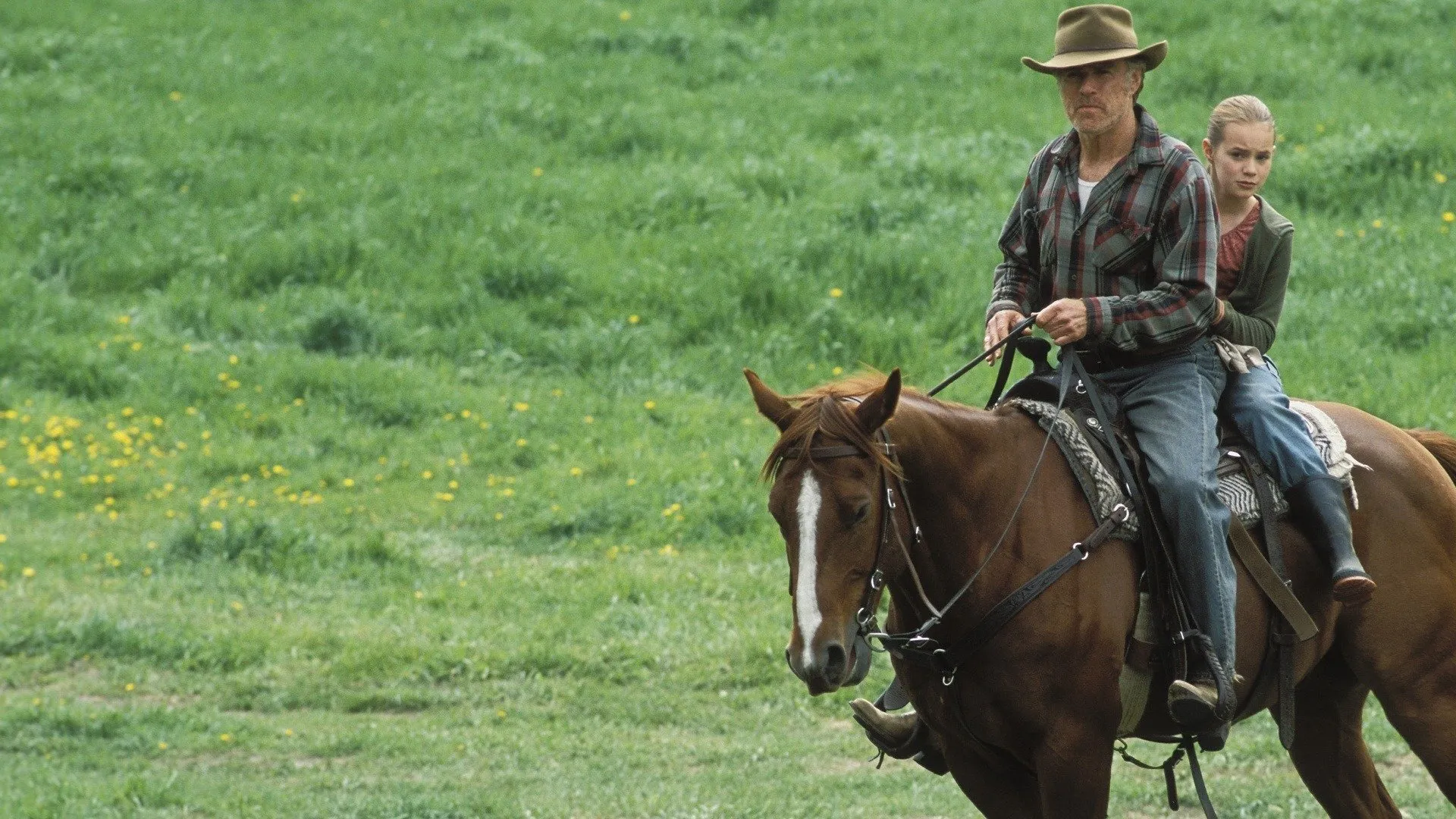 An Unfinished Life