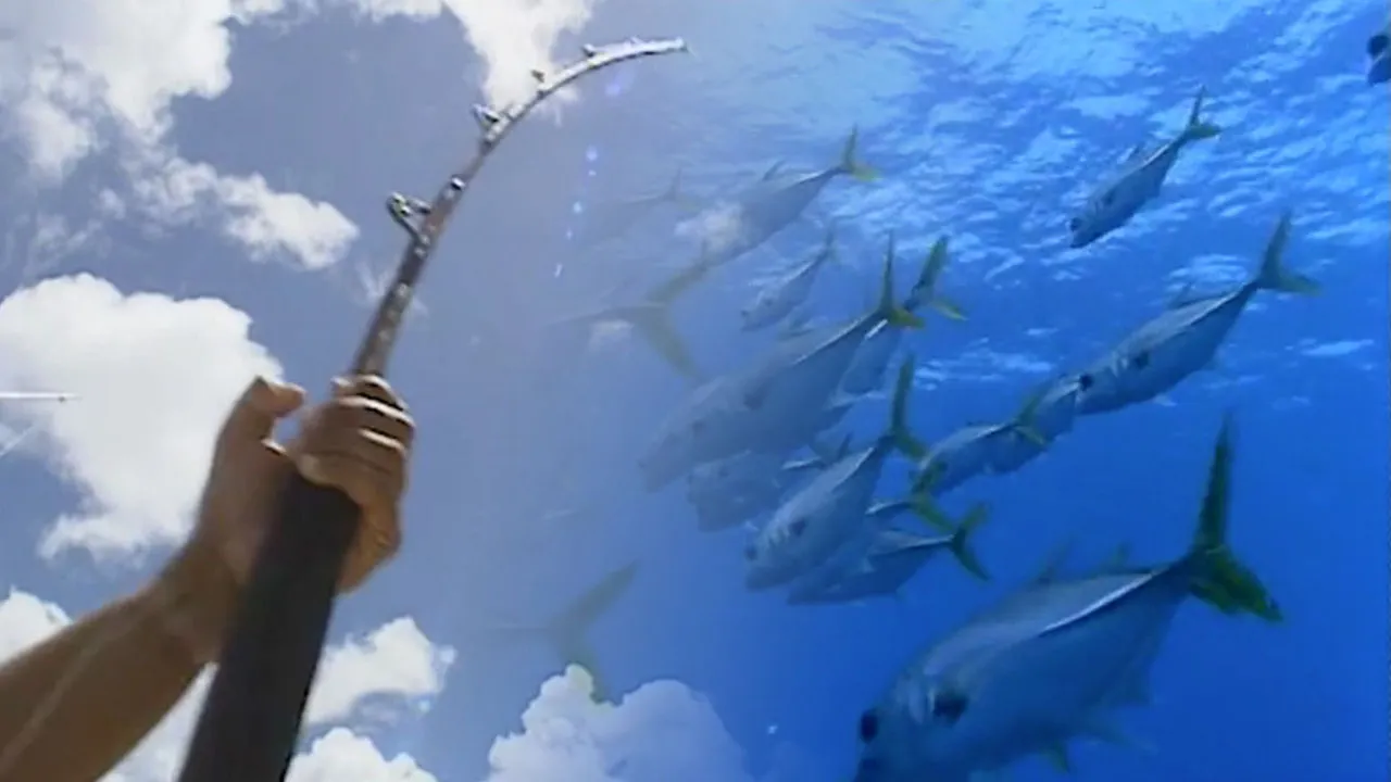 The Big Fish