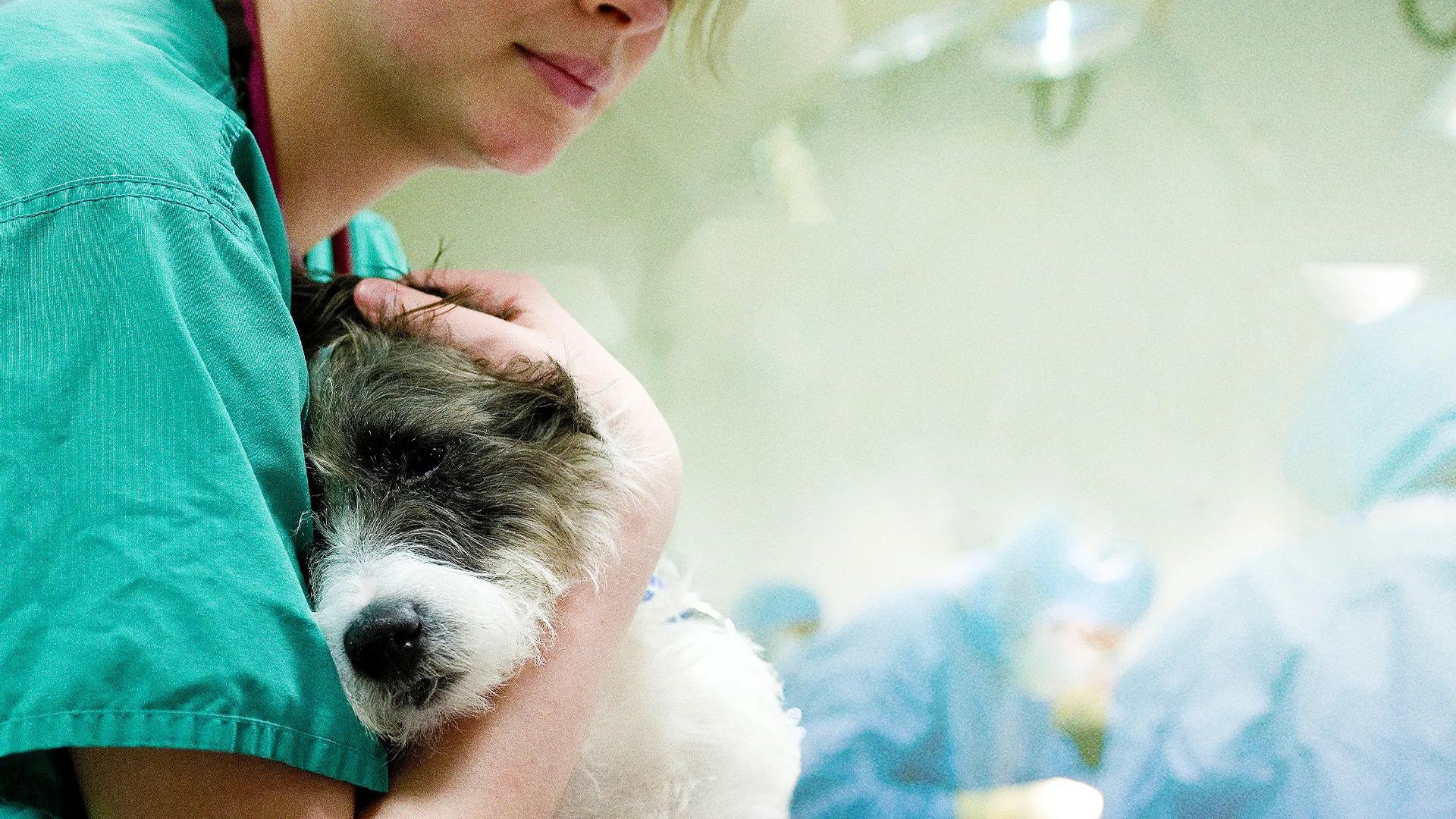 Bionic Vet