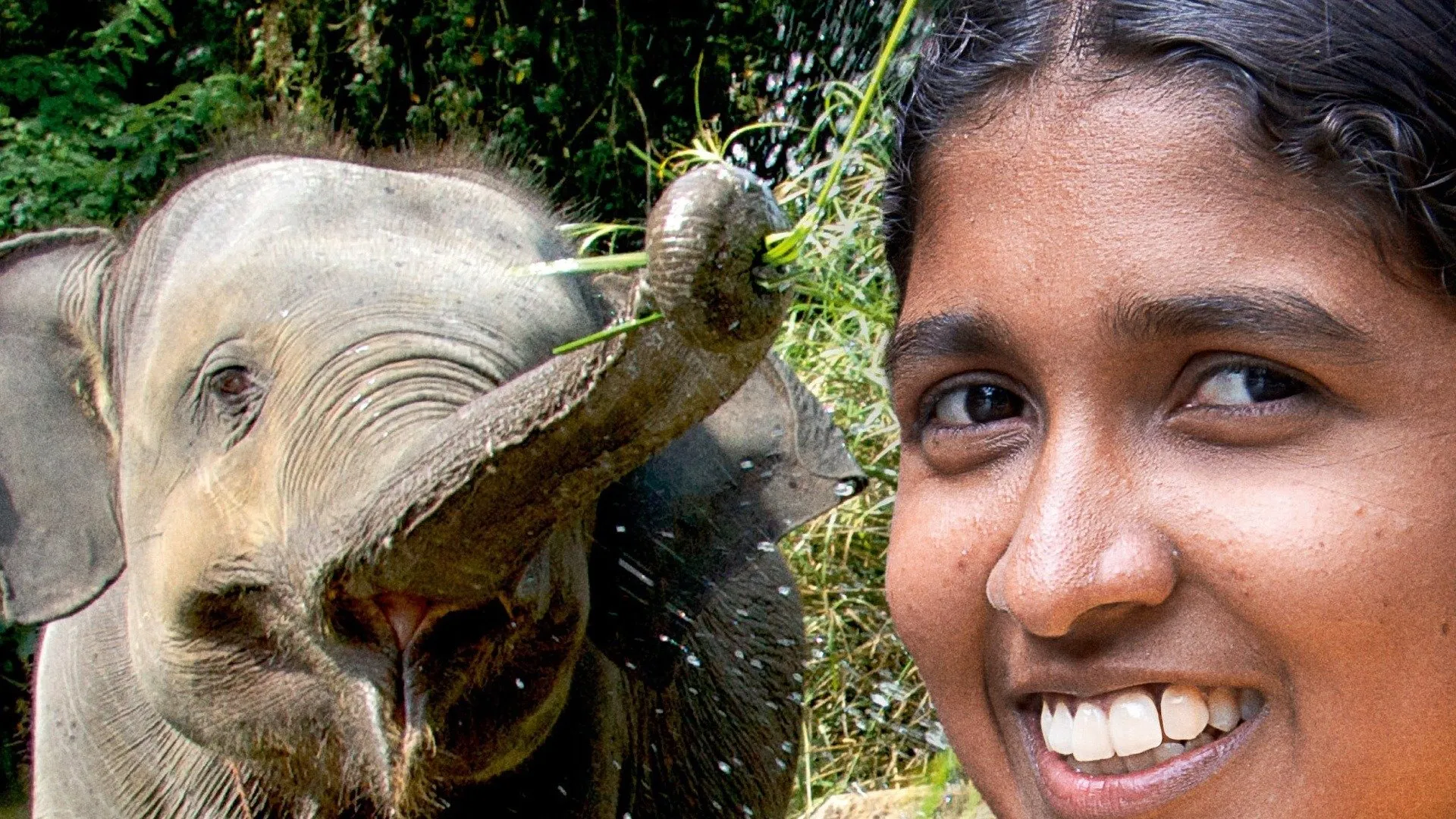 Chandani - The Daughter of the Elephant Whisperer