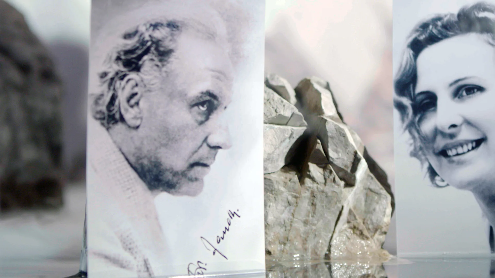 Ice Cold Passion - Leni Riefenstahl and Arnold Fanck between Hitler and Hollywood