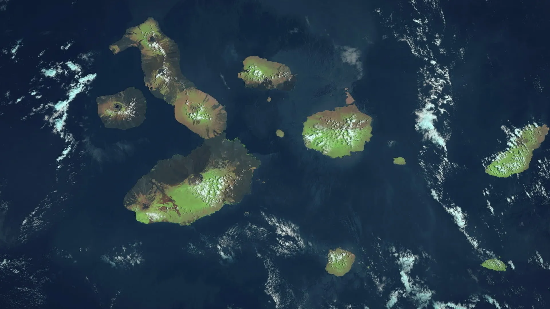 Vanishing Dragons - The Disappearing Marine Iguanas of Galapagos