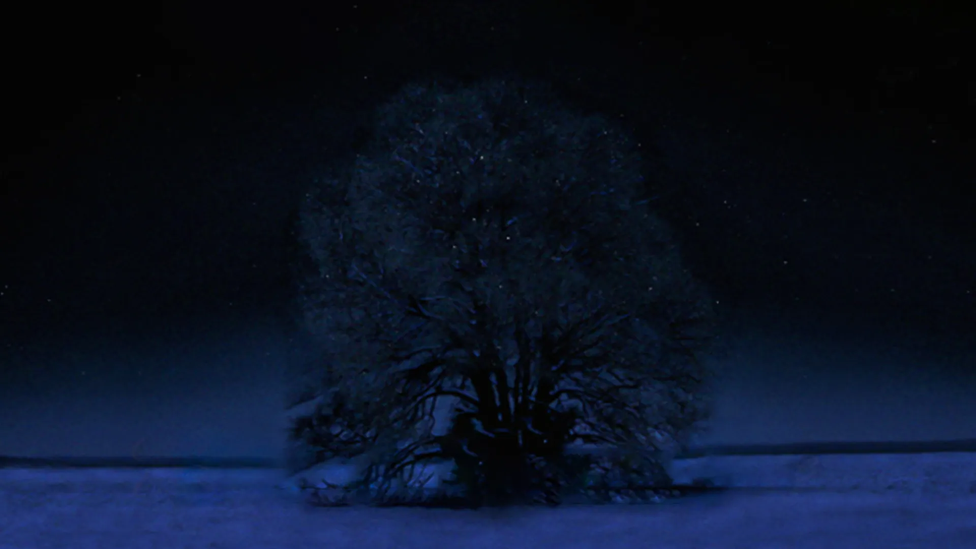 Under the Greenwood Tree