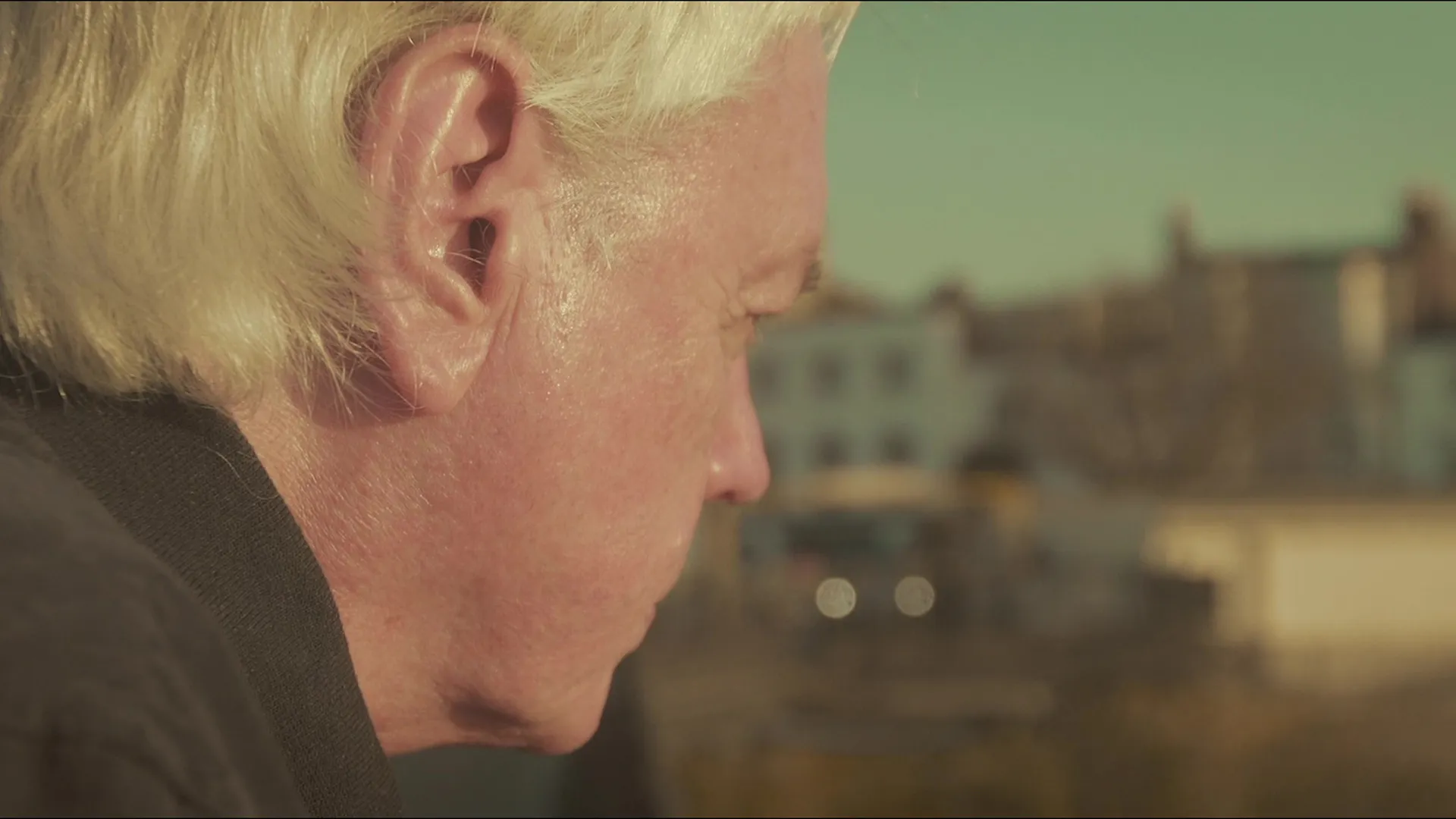 Renegade: The Life Story of David Icke