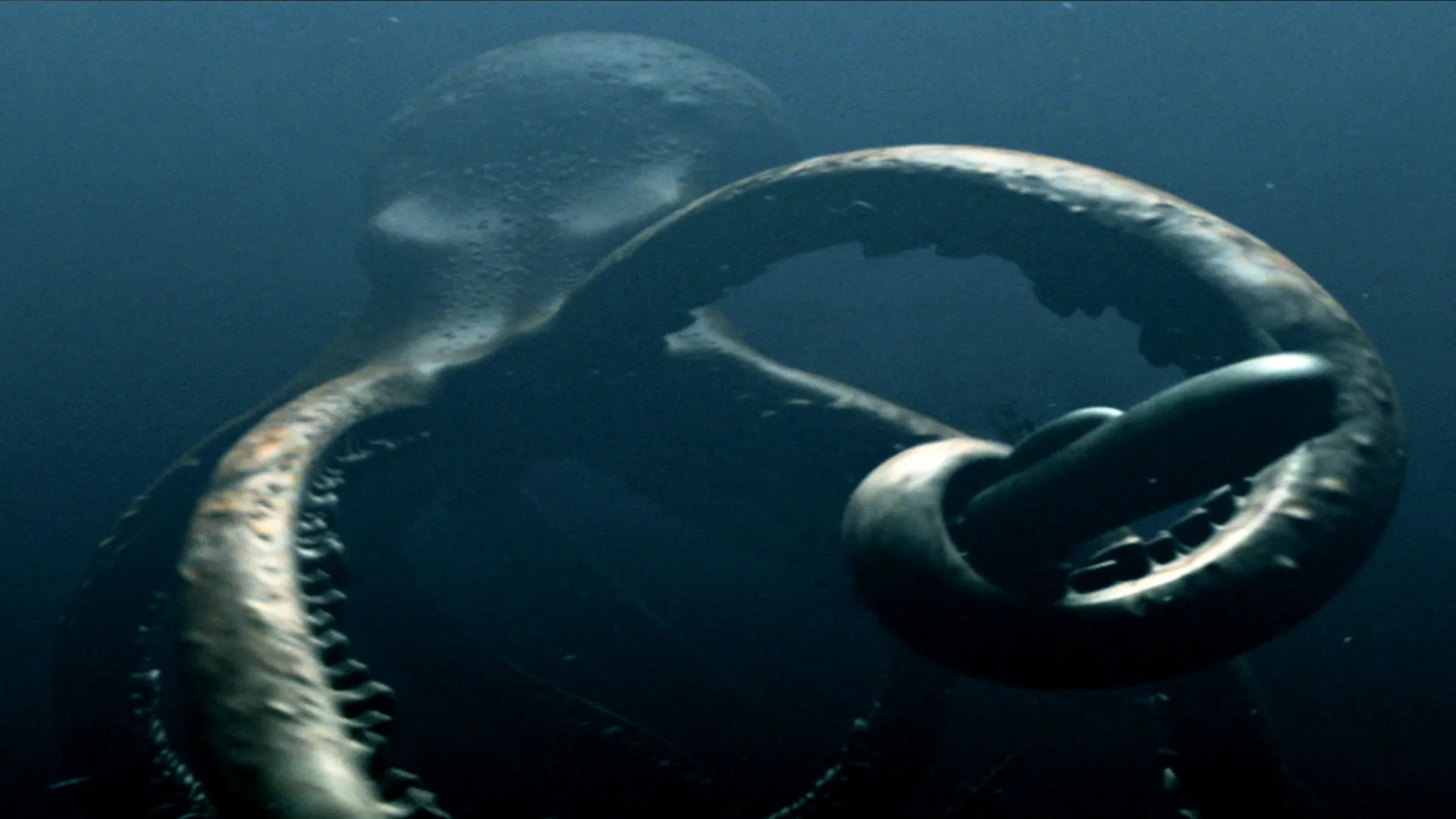 Mega Shark vs Giant Octopus