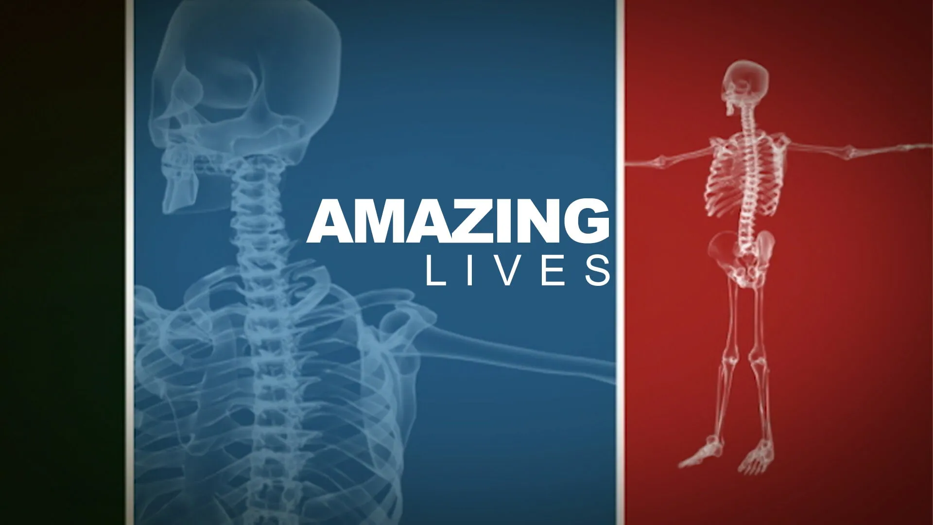 Amazing Lives