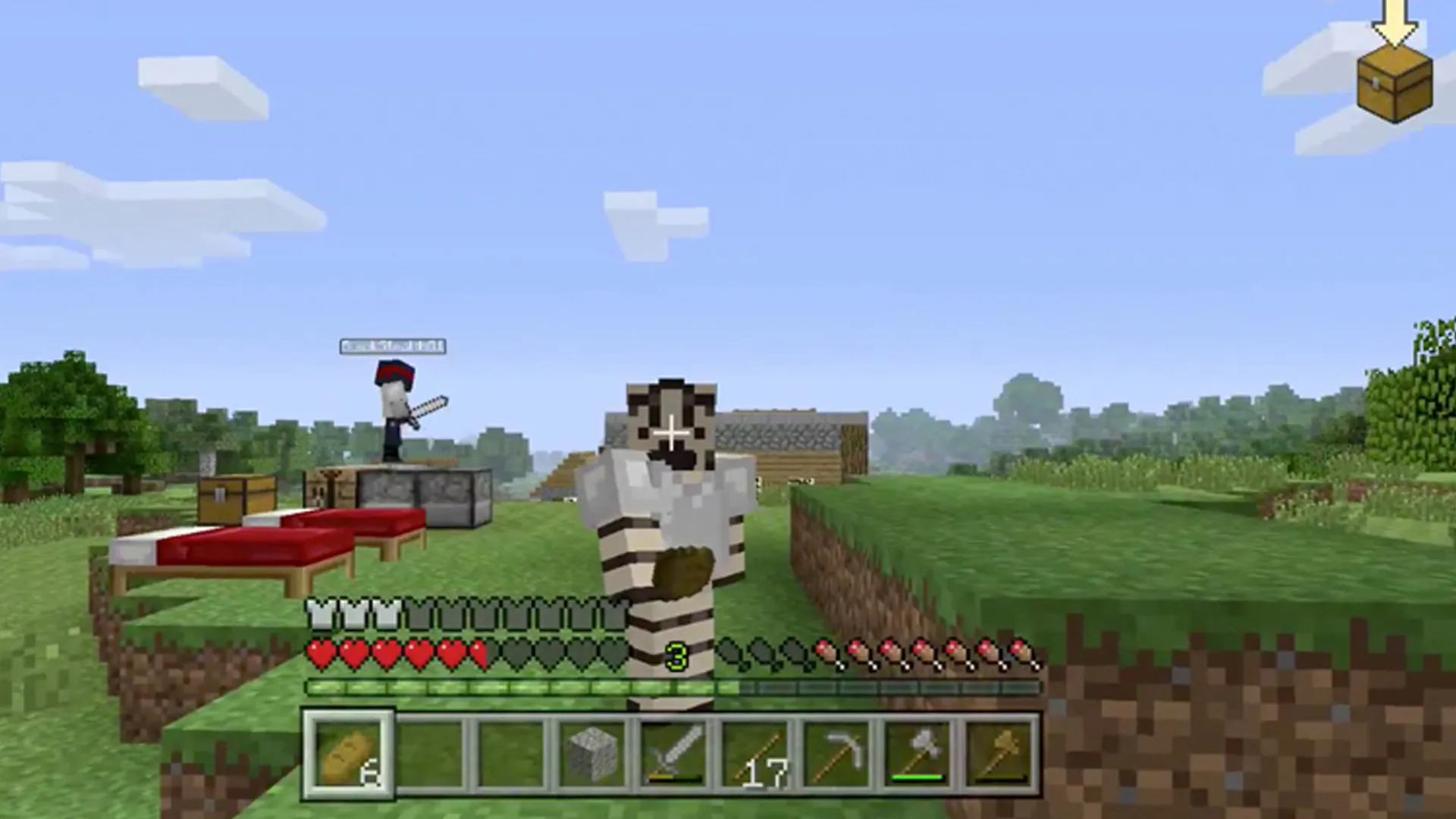 Sneaky Stripes (Minecraft Gameplay) - Zebra Gamer