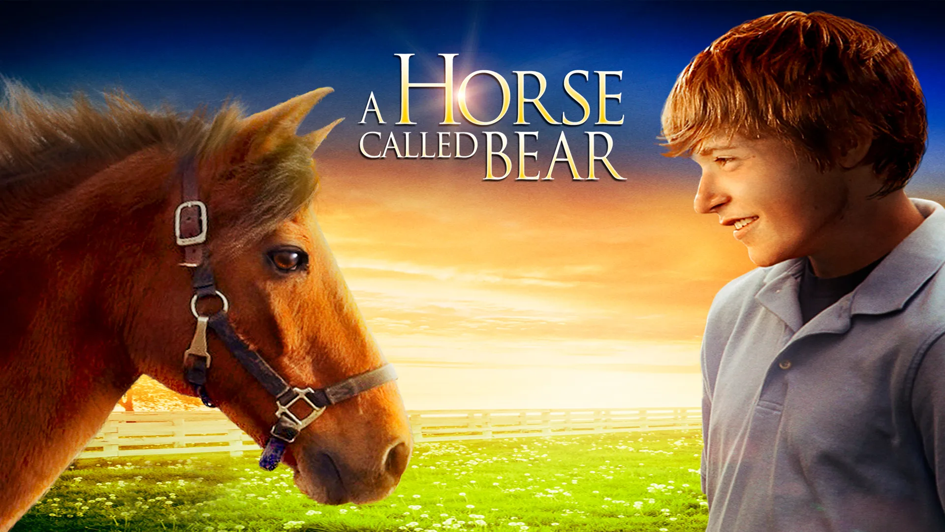 A Horse Called Bear
