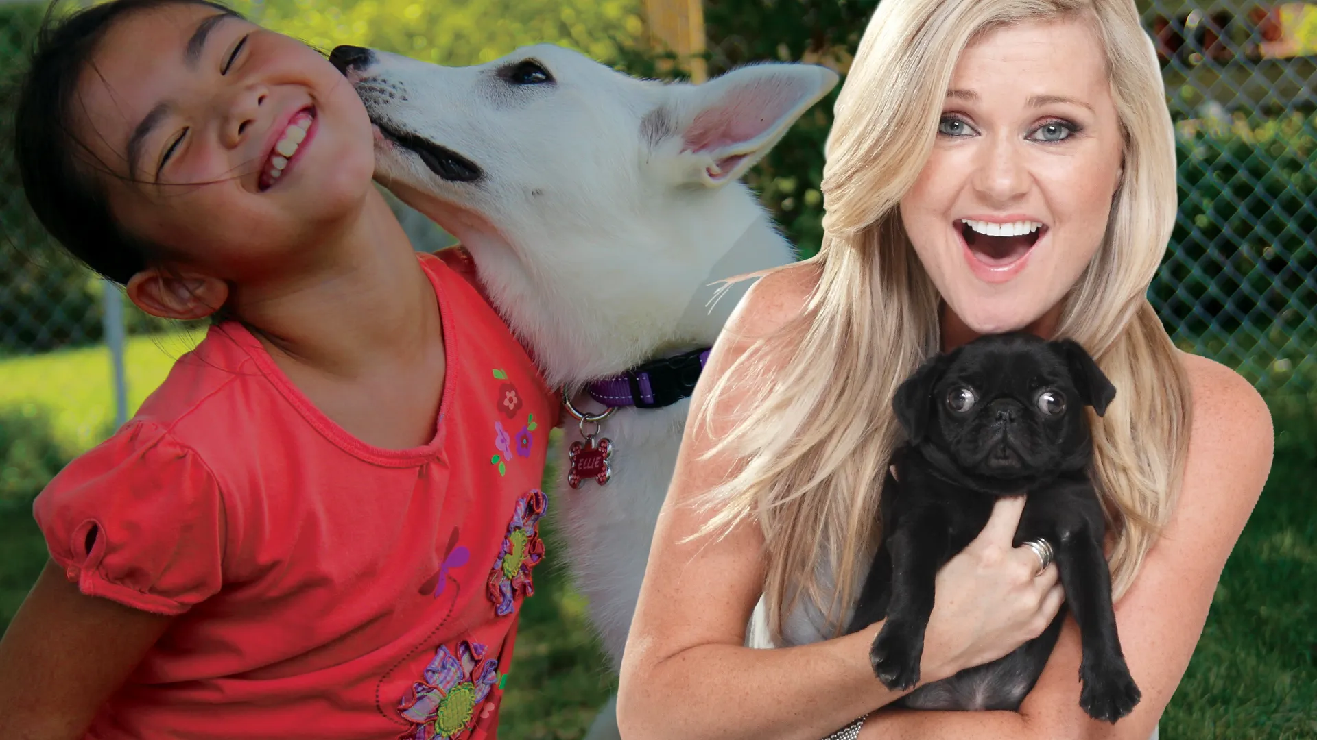 Pick a Puppy