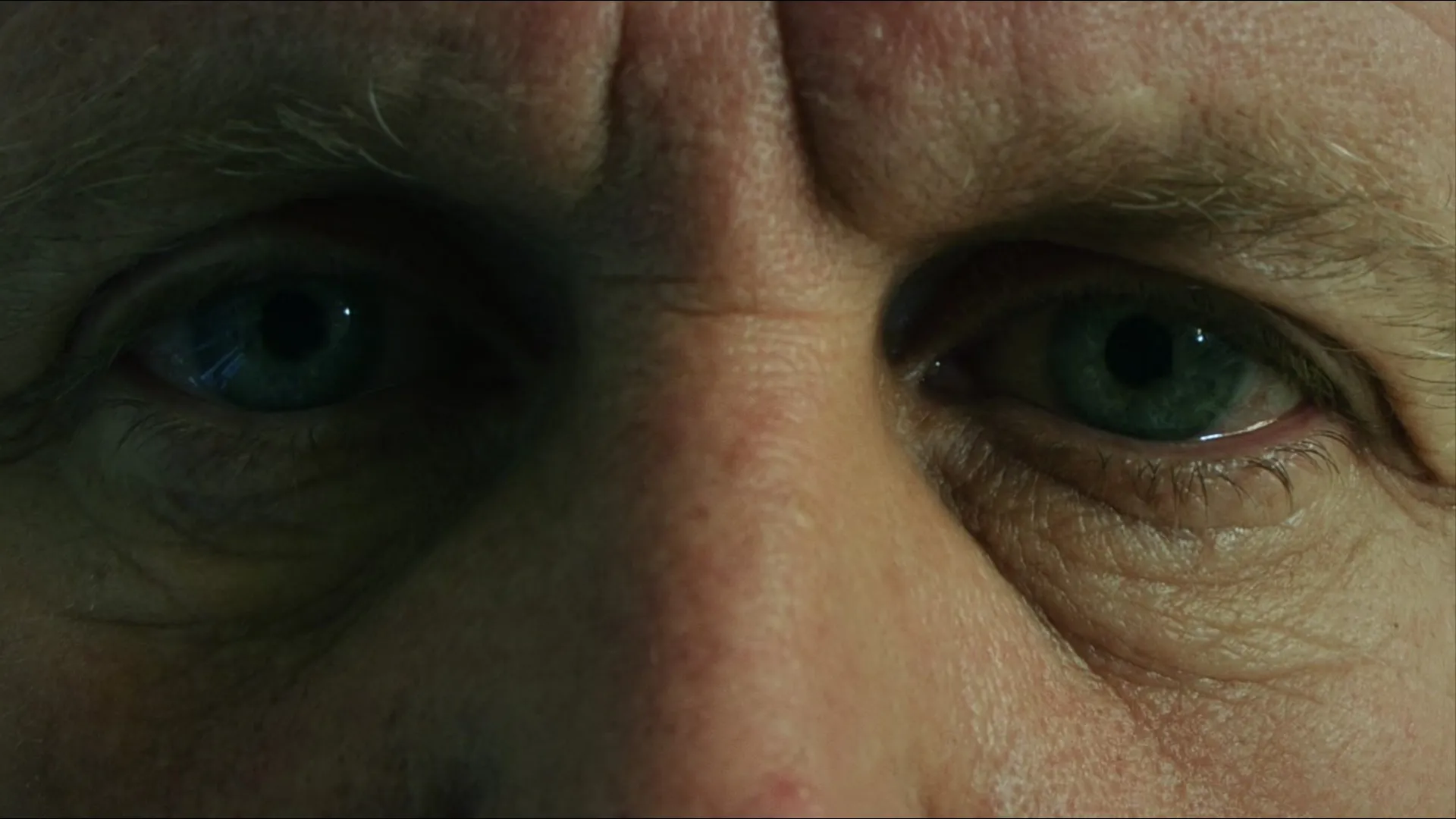 Retina