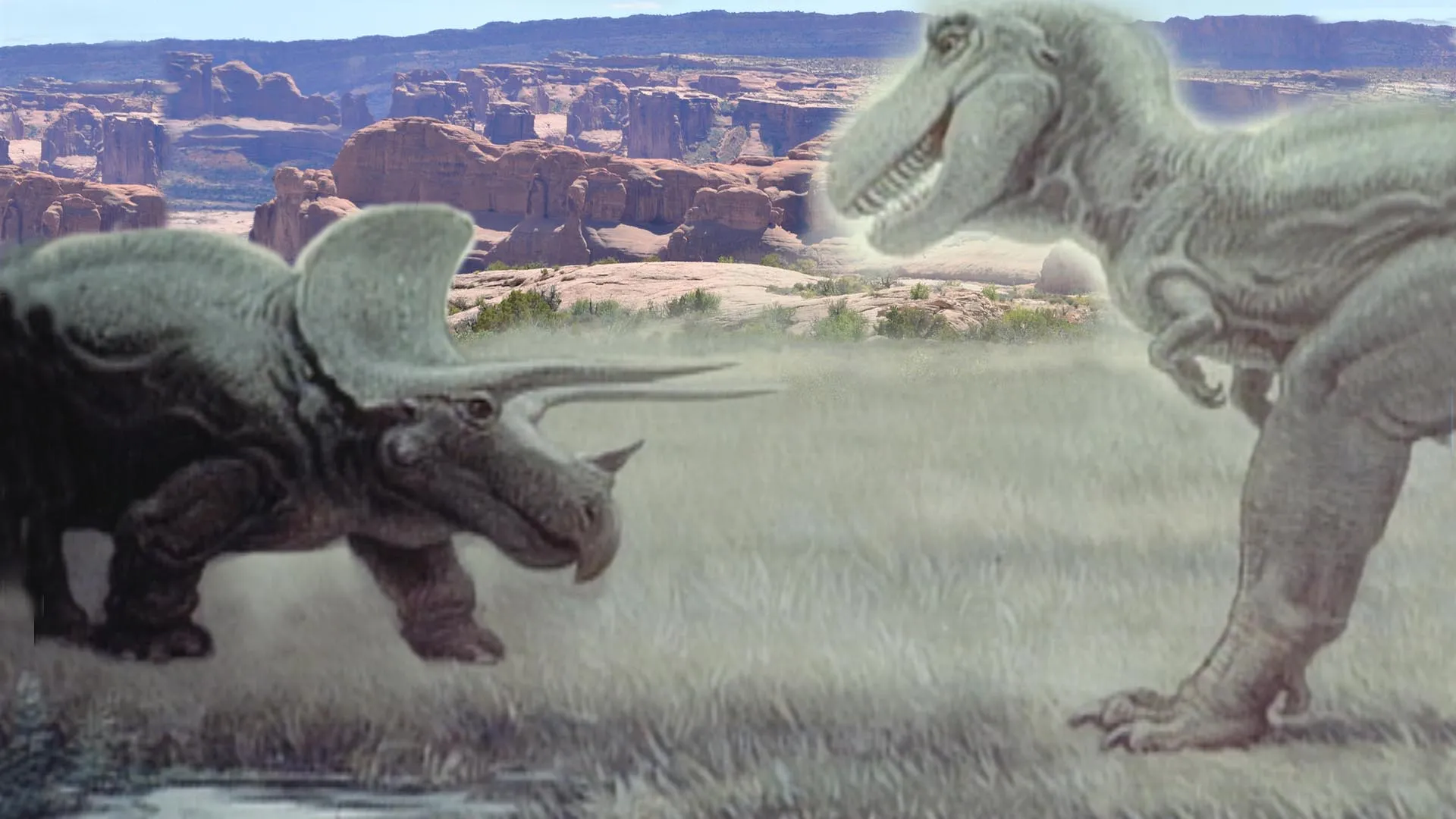 Dinosaurs Inside And Out