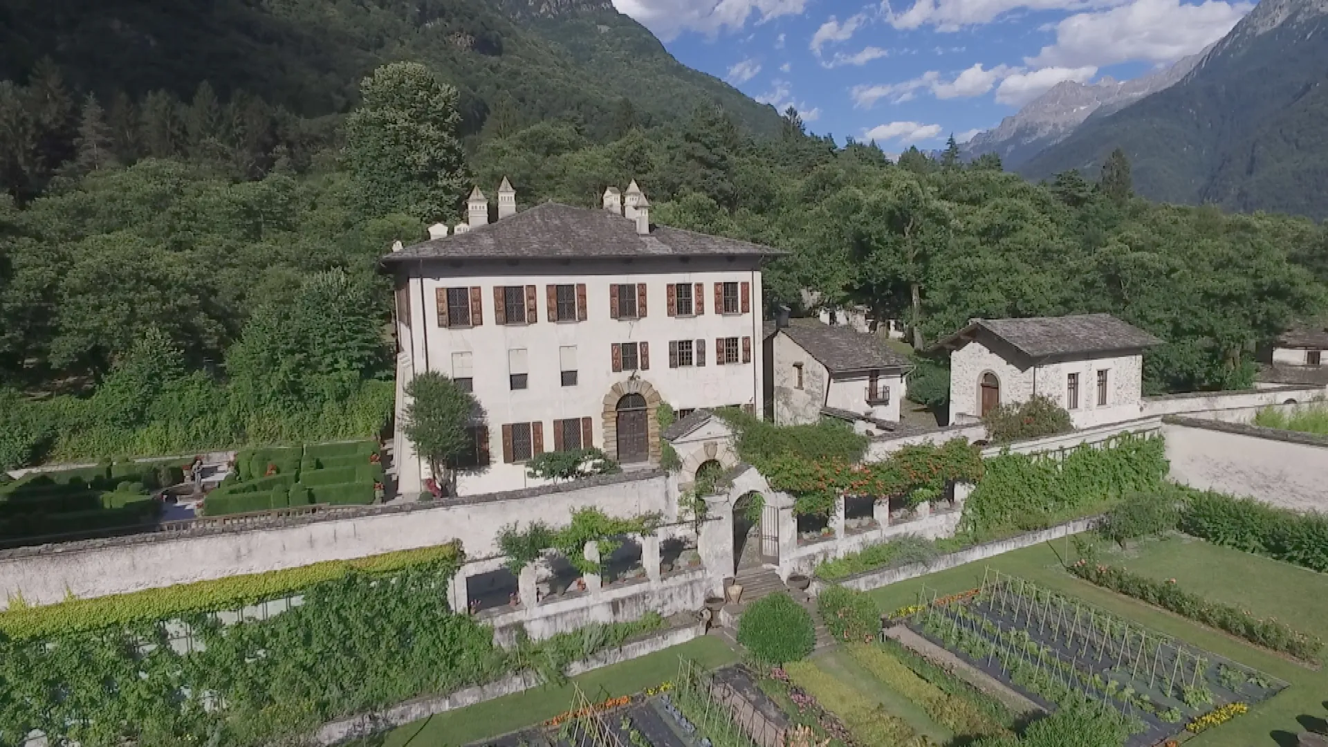 Il castagno dei giganti