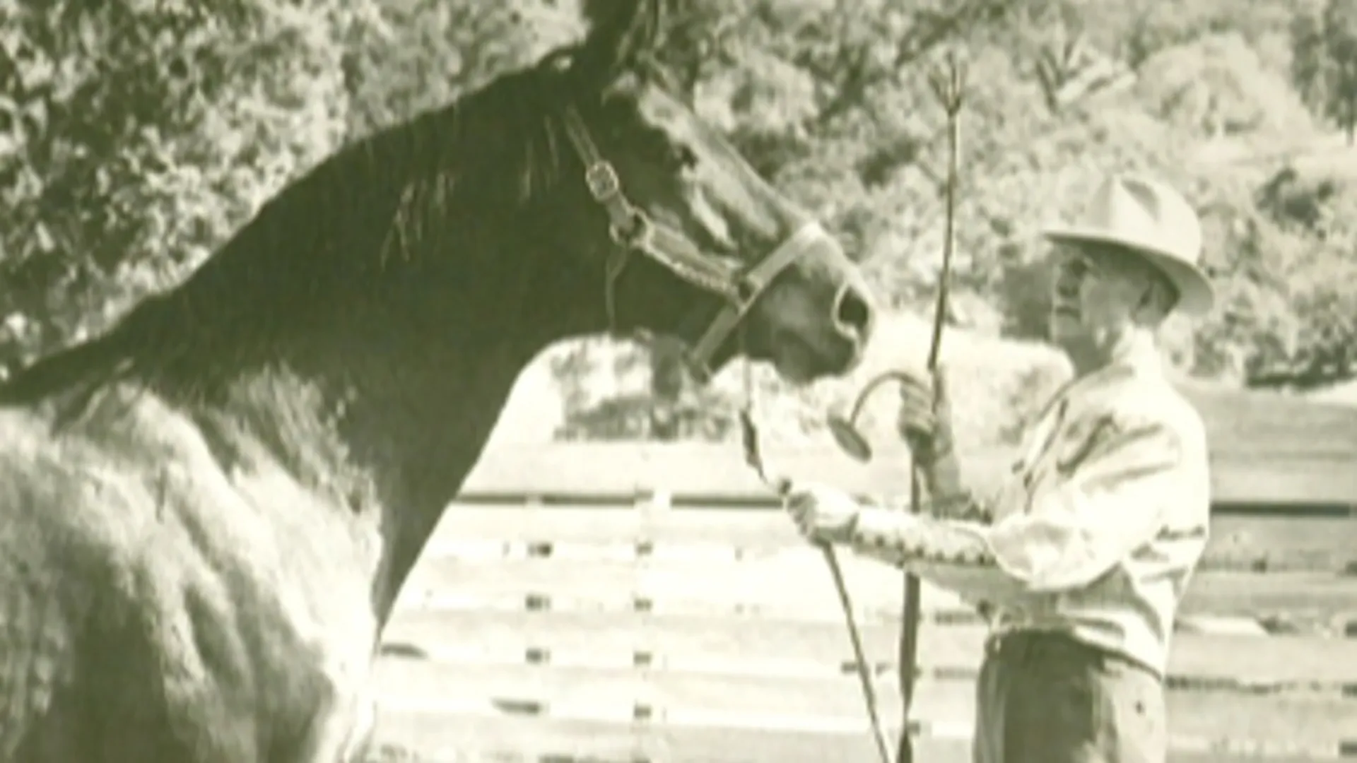 Seabiscuit: America's Legendary Racehorse