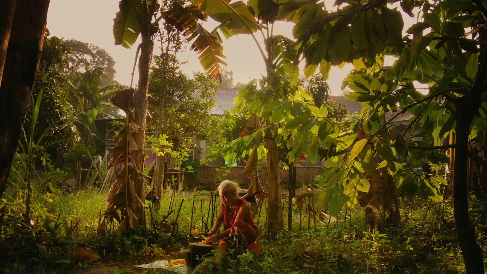 The Look of Silence