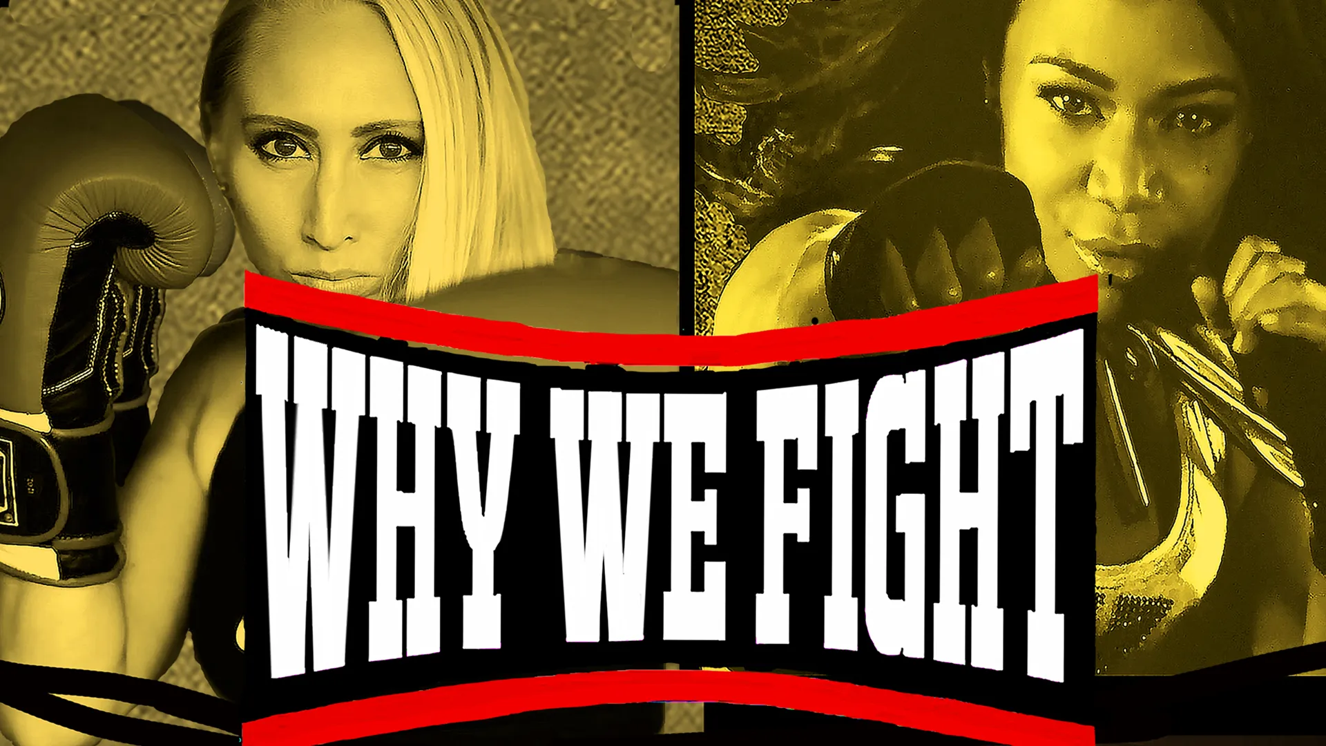 Why We Fight