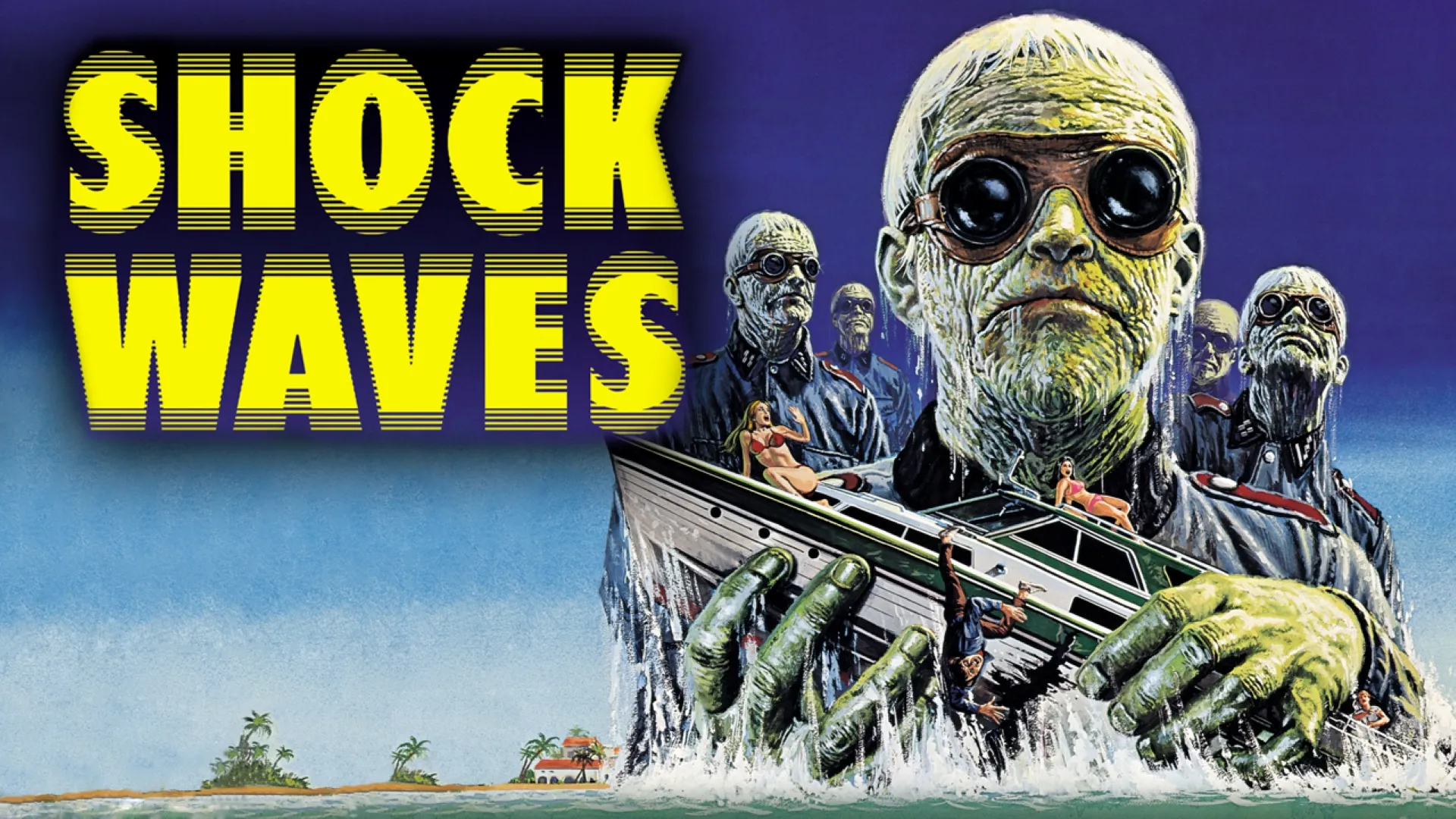 Shock Waves