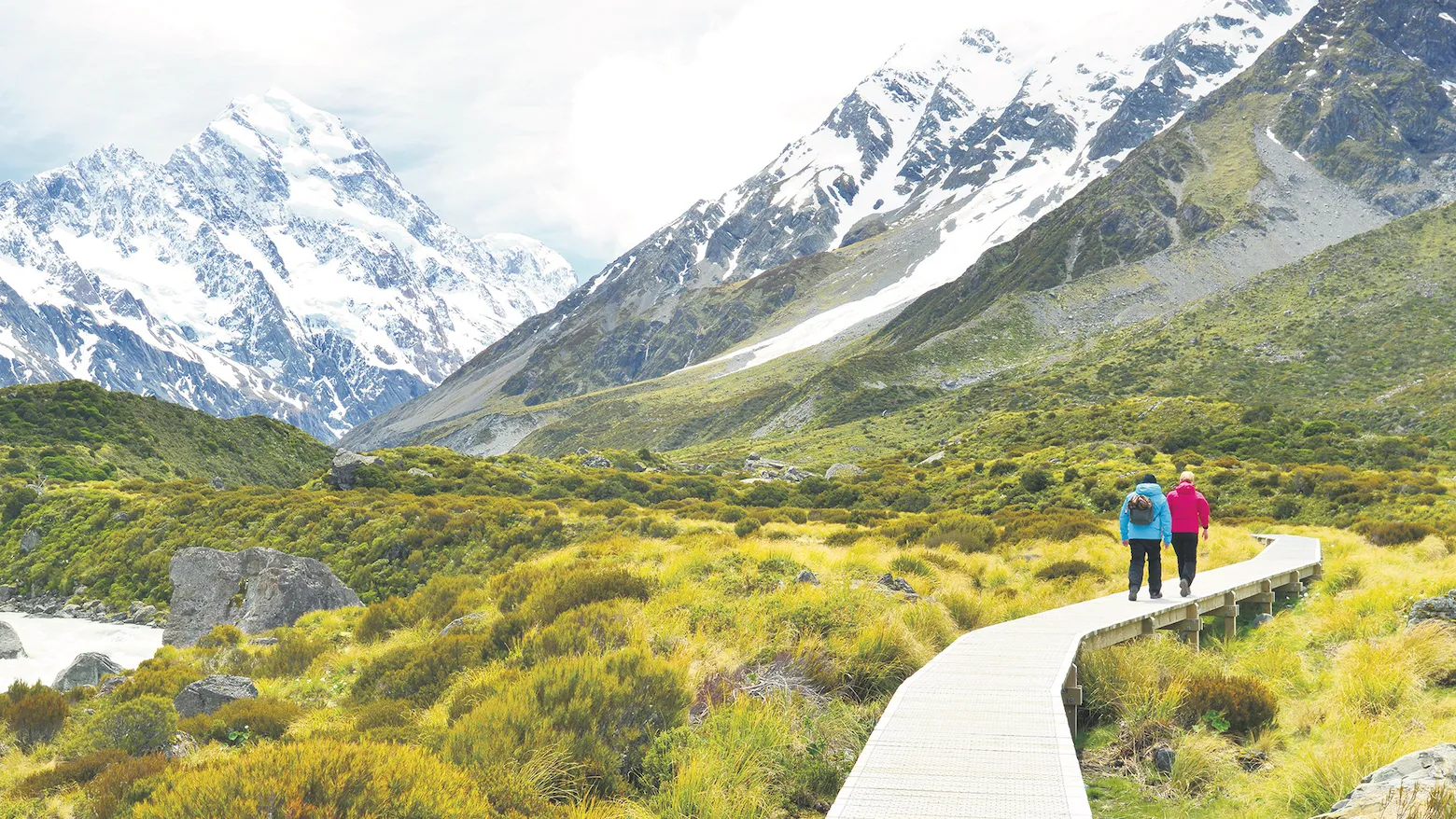Wild About New Zealand