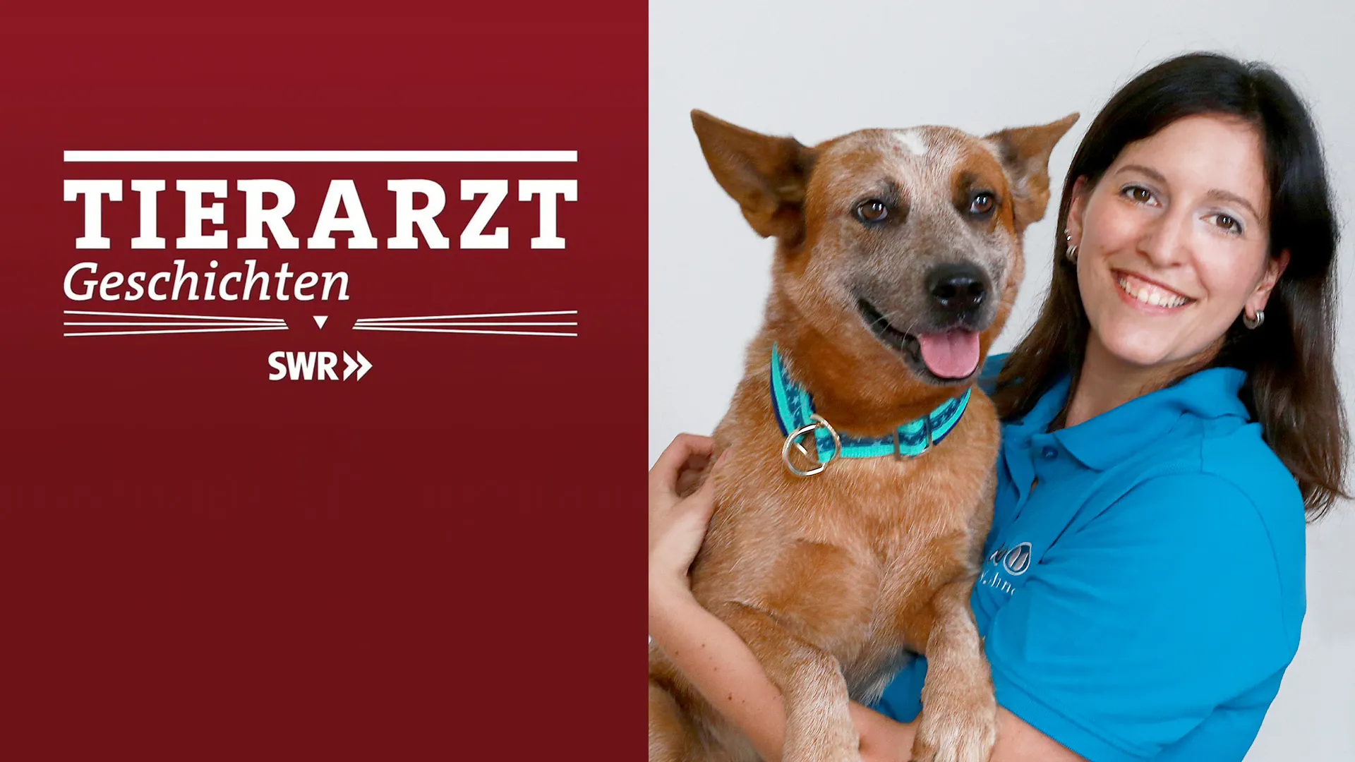 Tierarztgeschichten Staffel 2