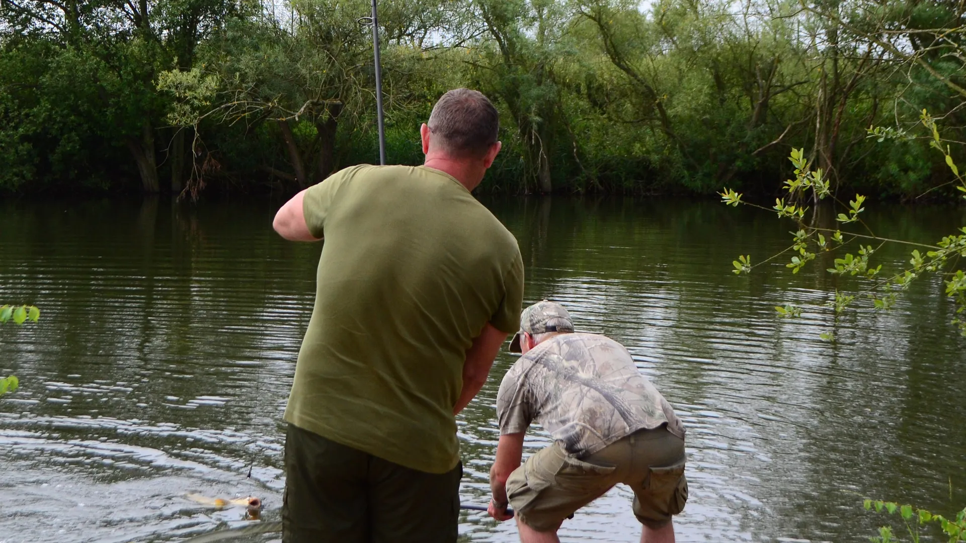 Carp Wars