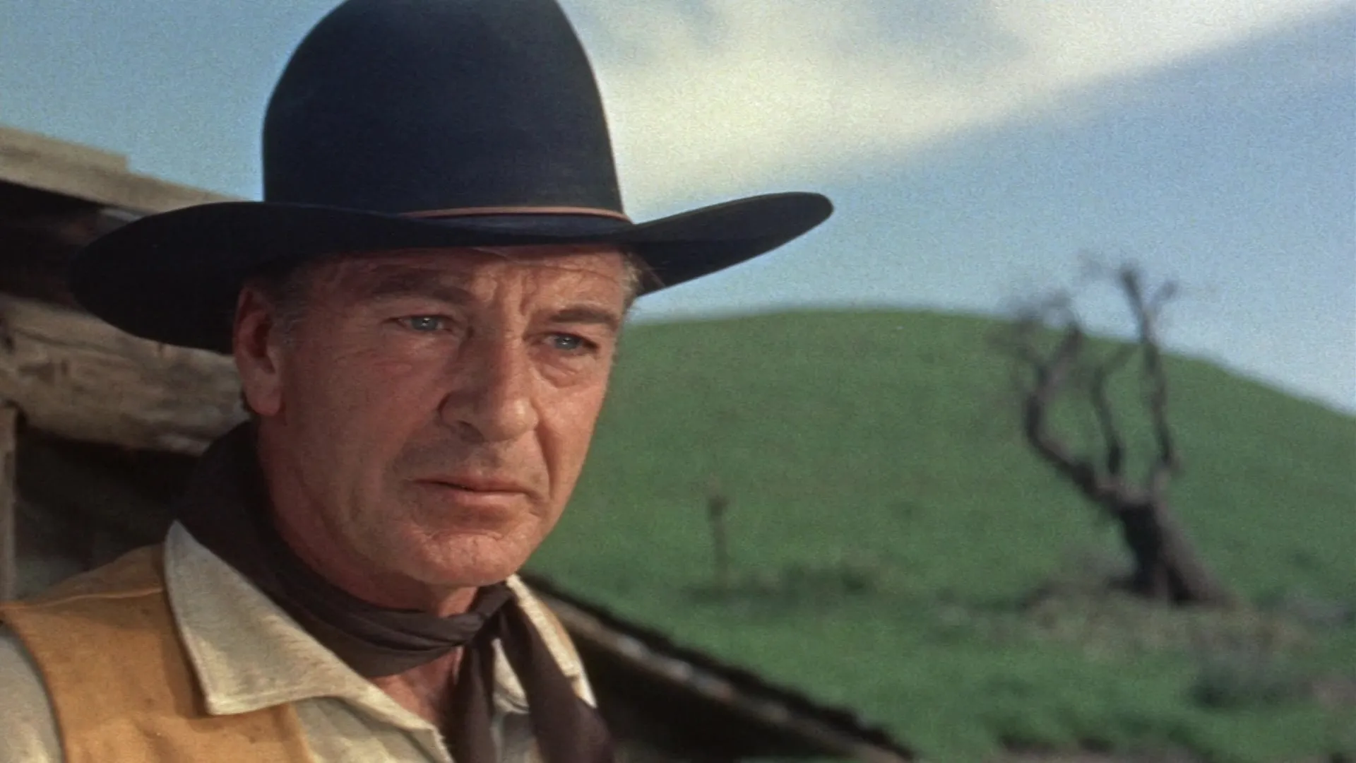 Man of the West