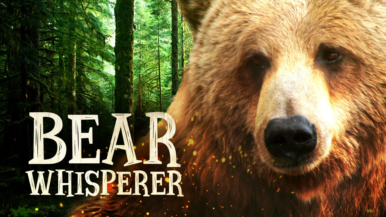 Bear Whisperer