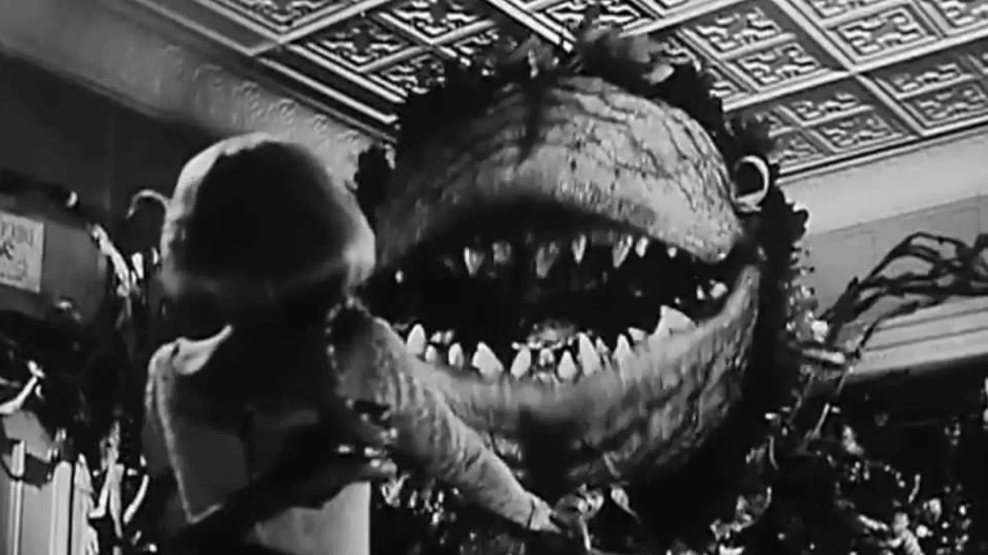 The Little Shop of Horrors (1960)