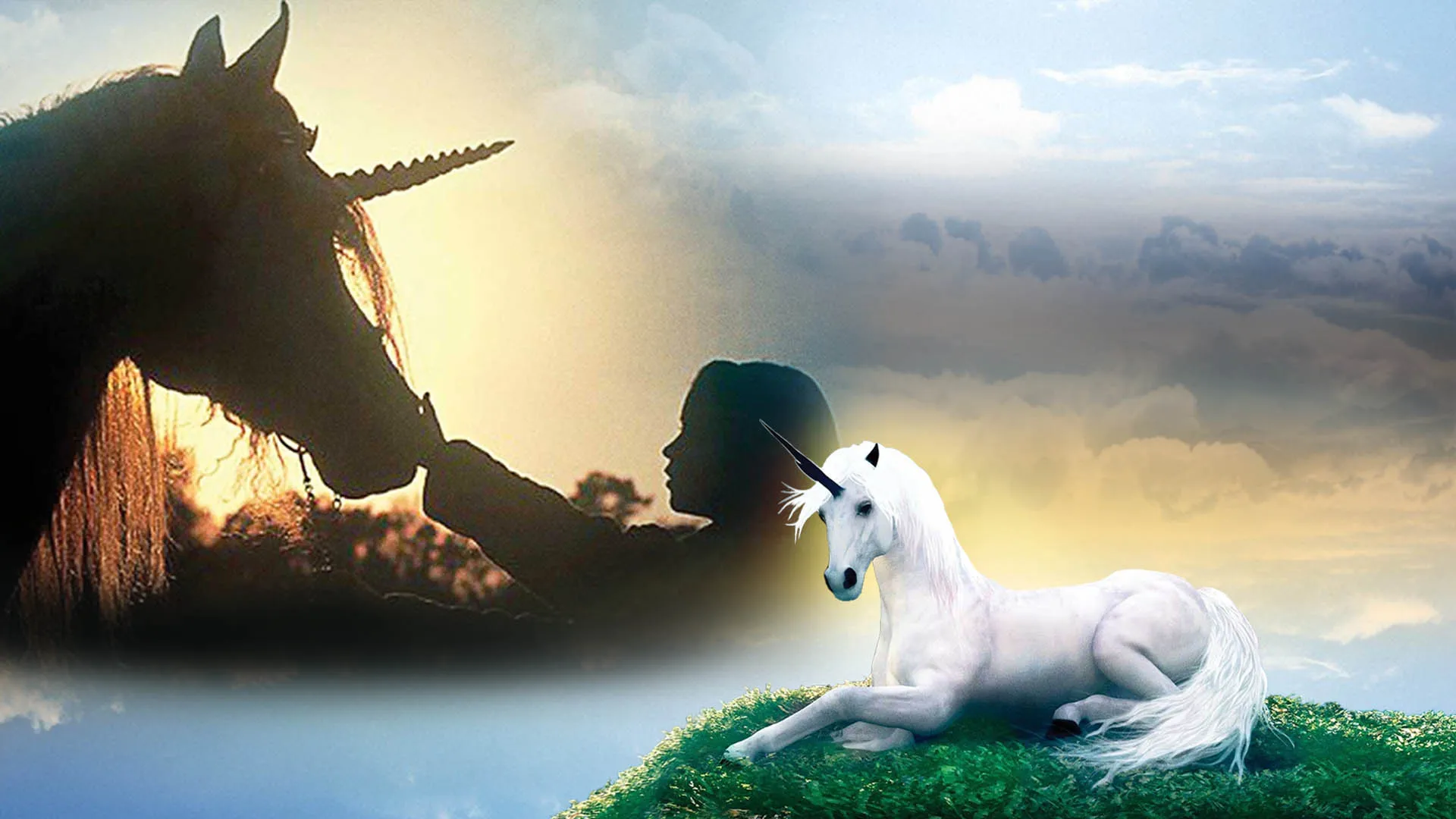 El pequeño unicornio