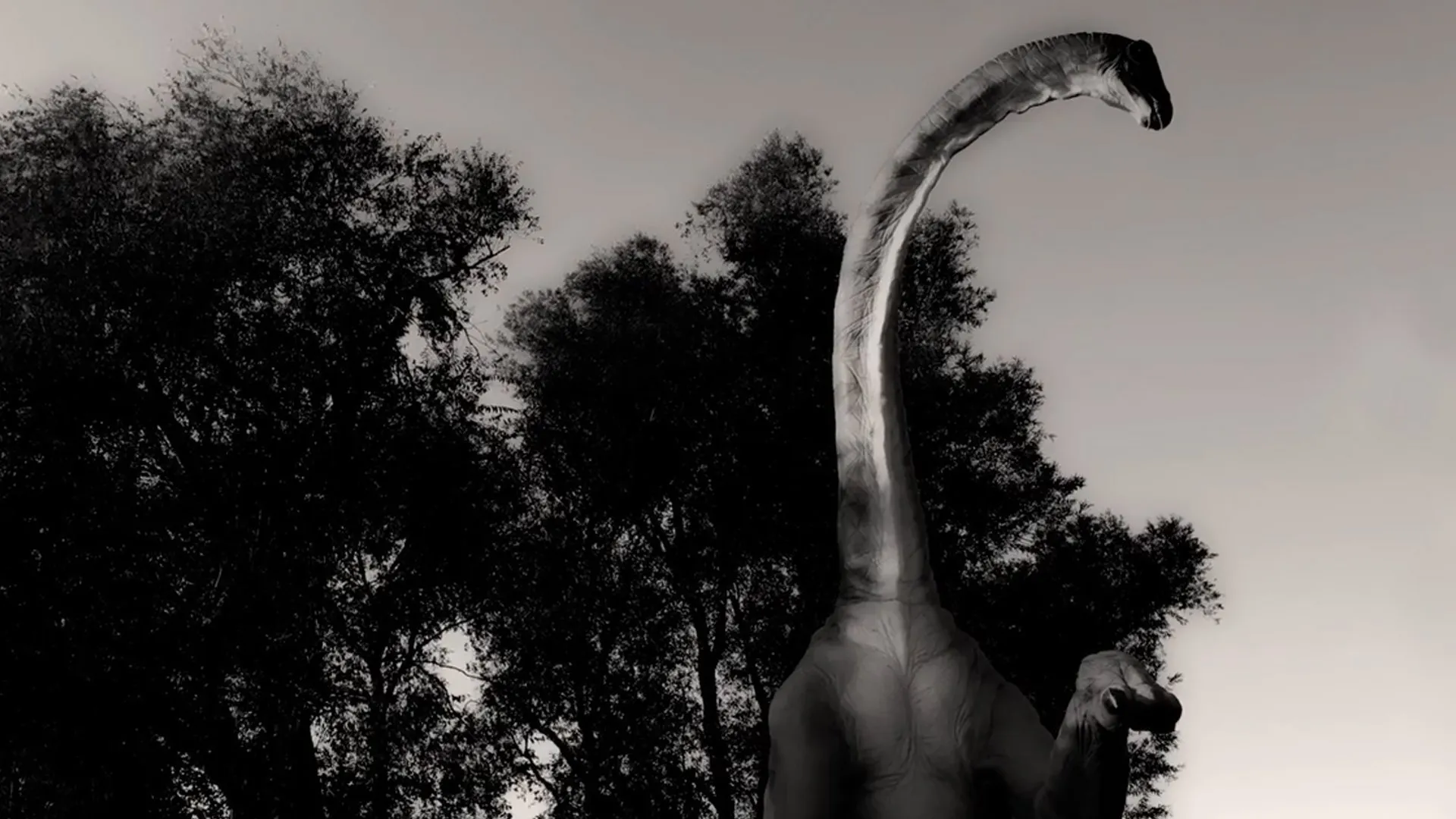 The Loch Ness Monster