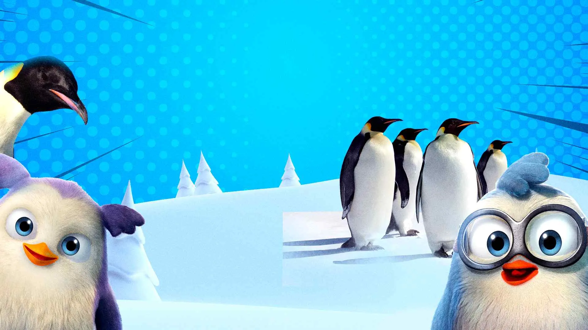 Archie And Zooey's Cool Facts: Emperor Penguins
