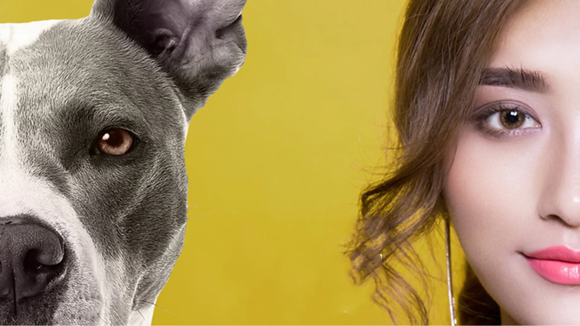 Me, My Dog, And I