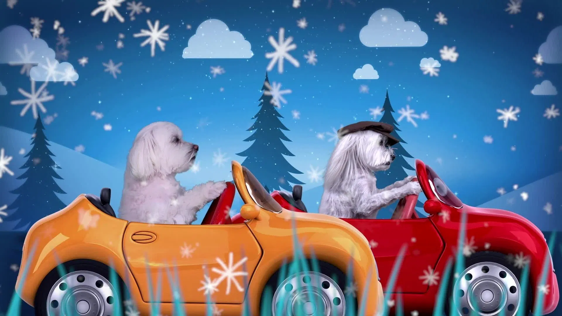 Pup School: Arctic Adventure